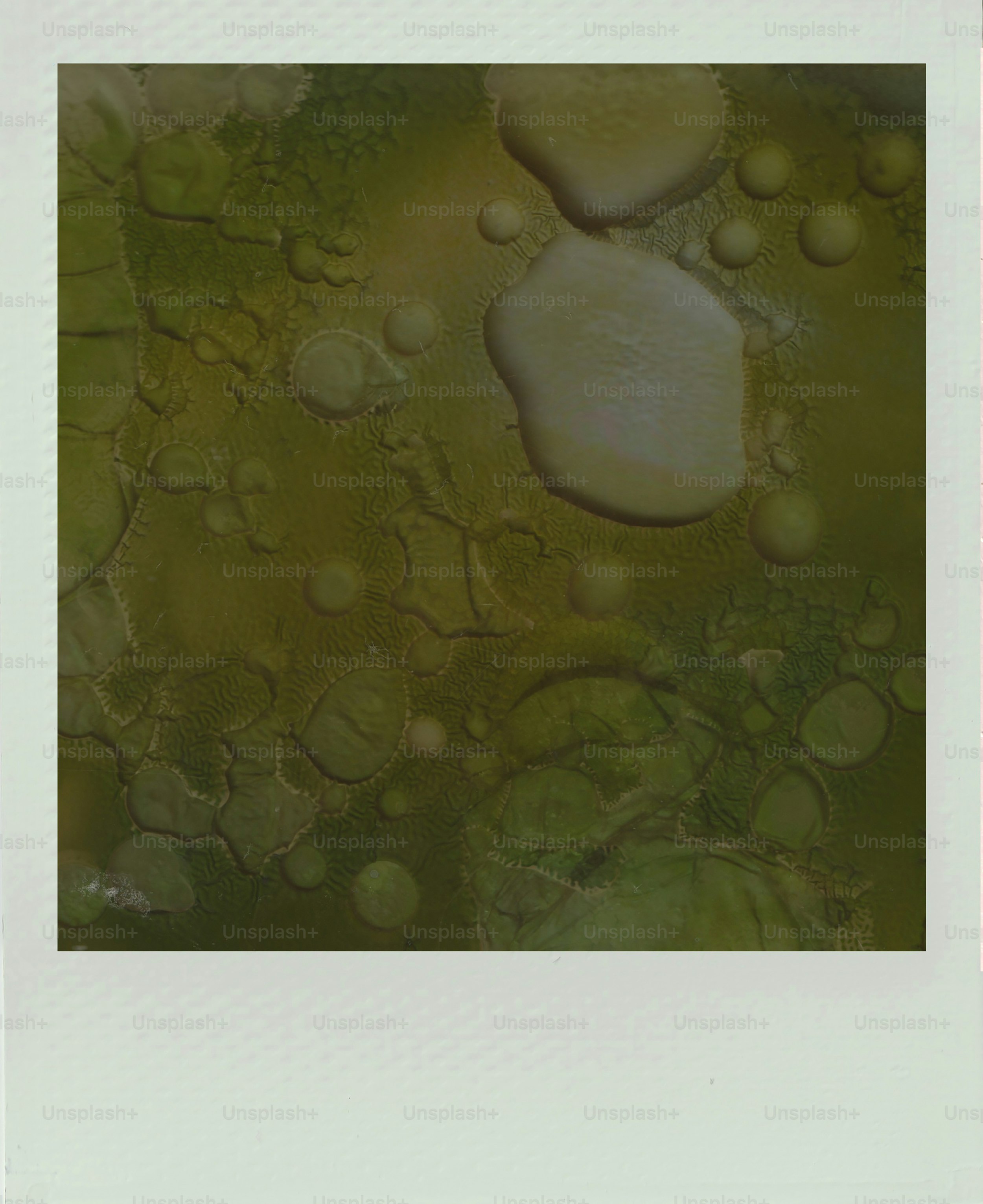 Fundo abstrato texturizado verde e amarelo com círculos