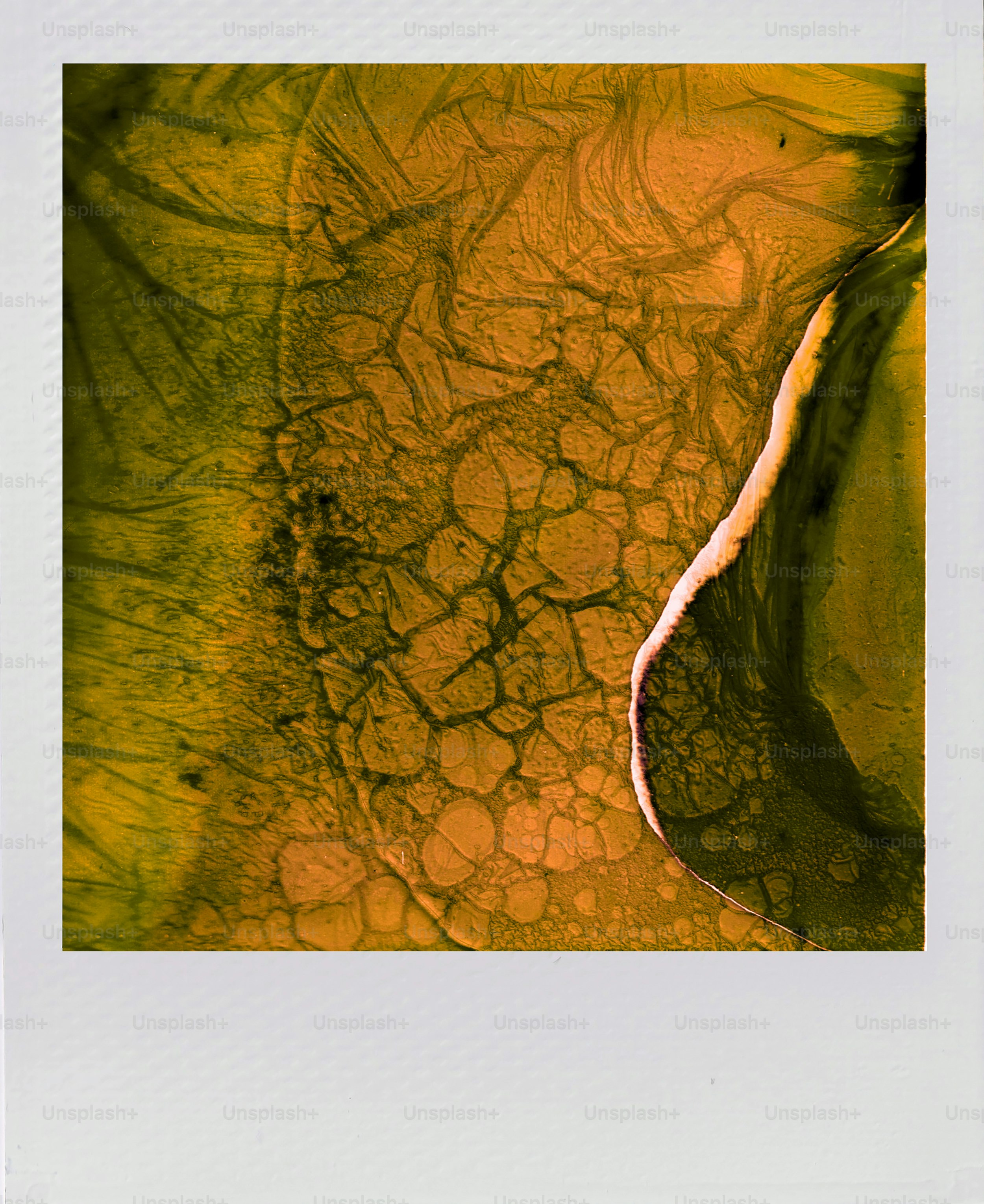 Abstract textured pattern of yellow and green swirls