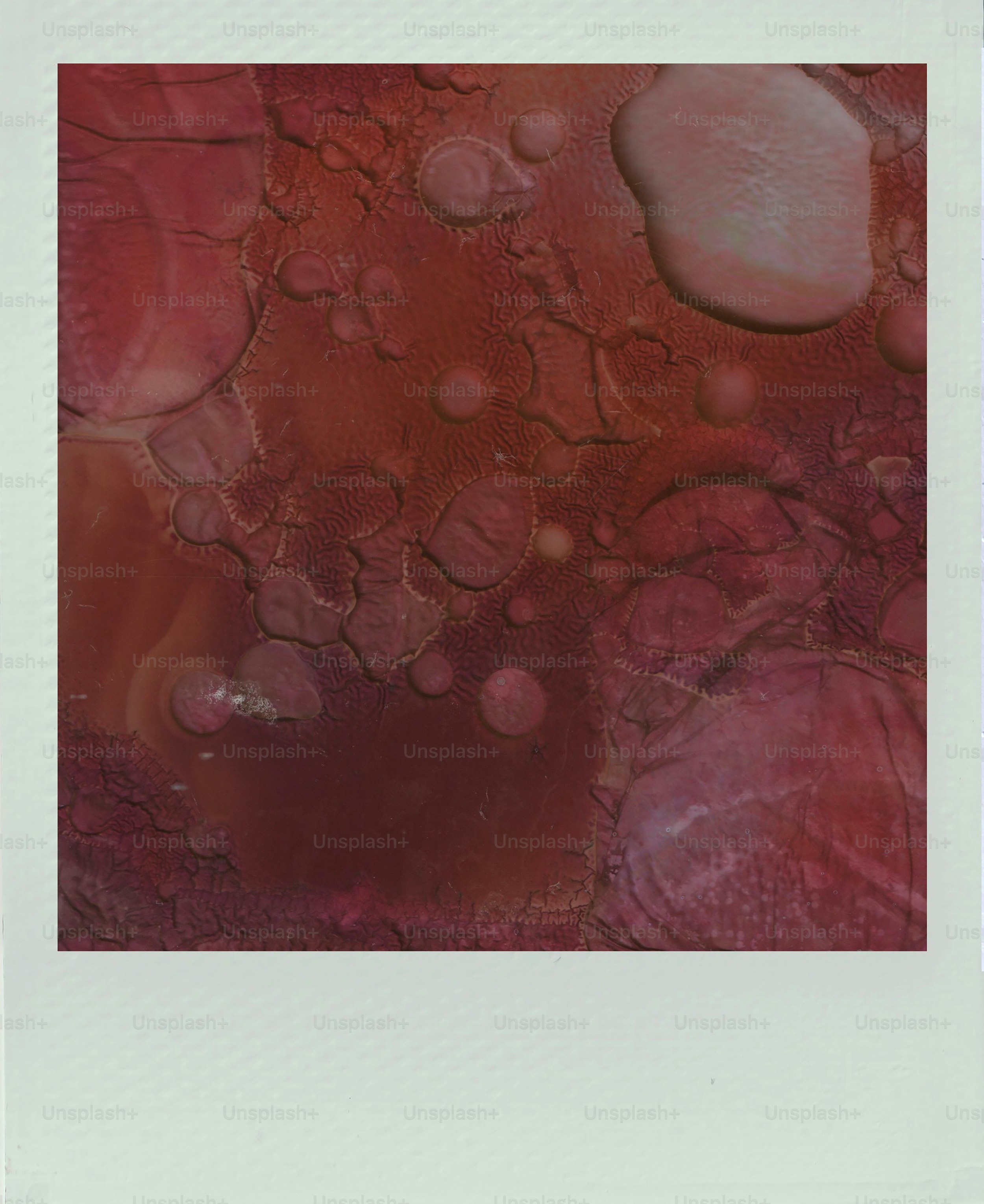 Abstract red and pink textured background with bubbles
