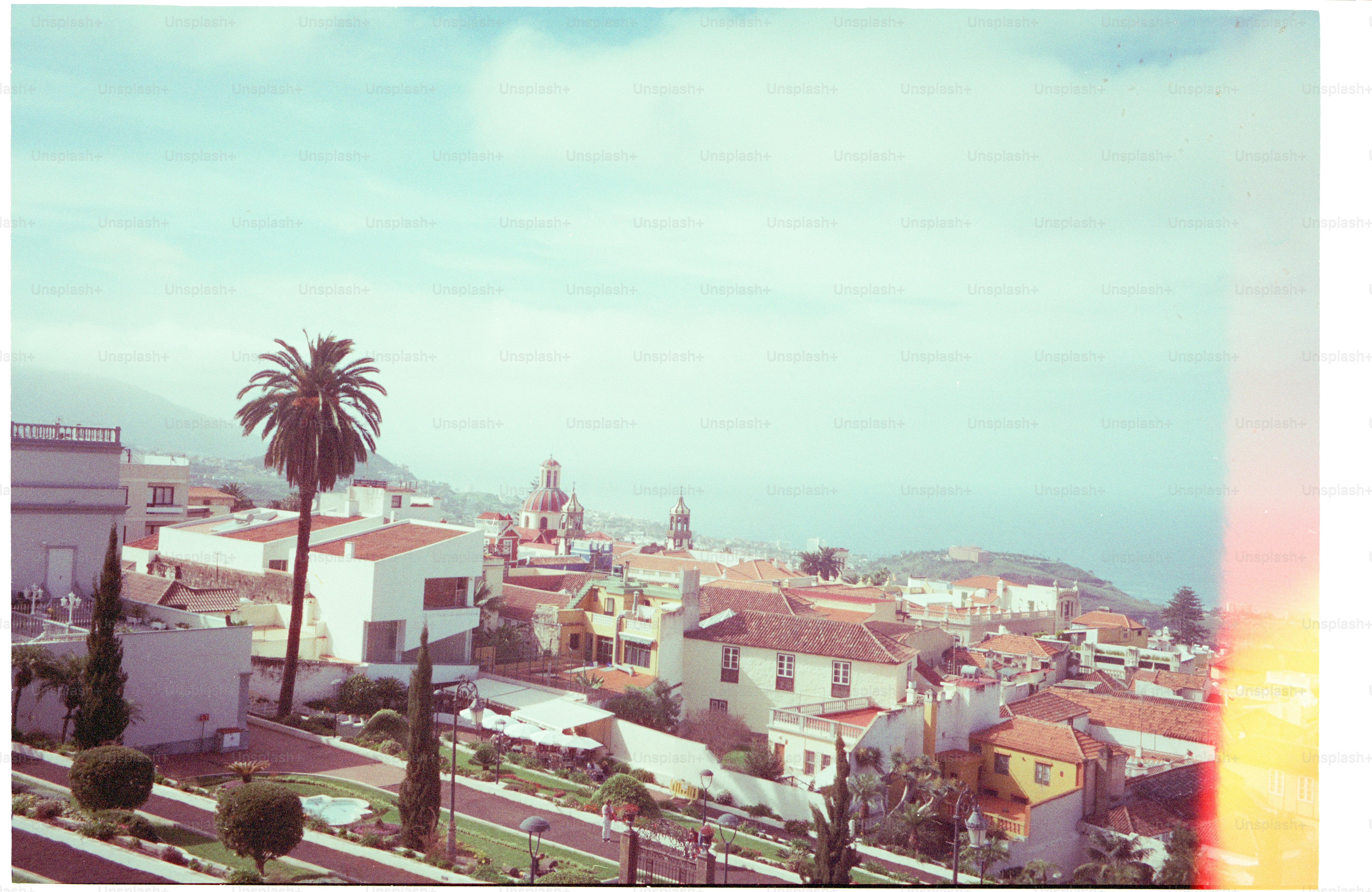 Tropische Stadt mit Palmen und Meerblick