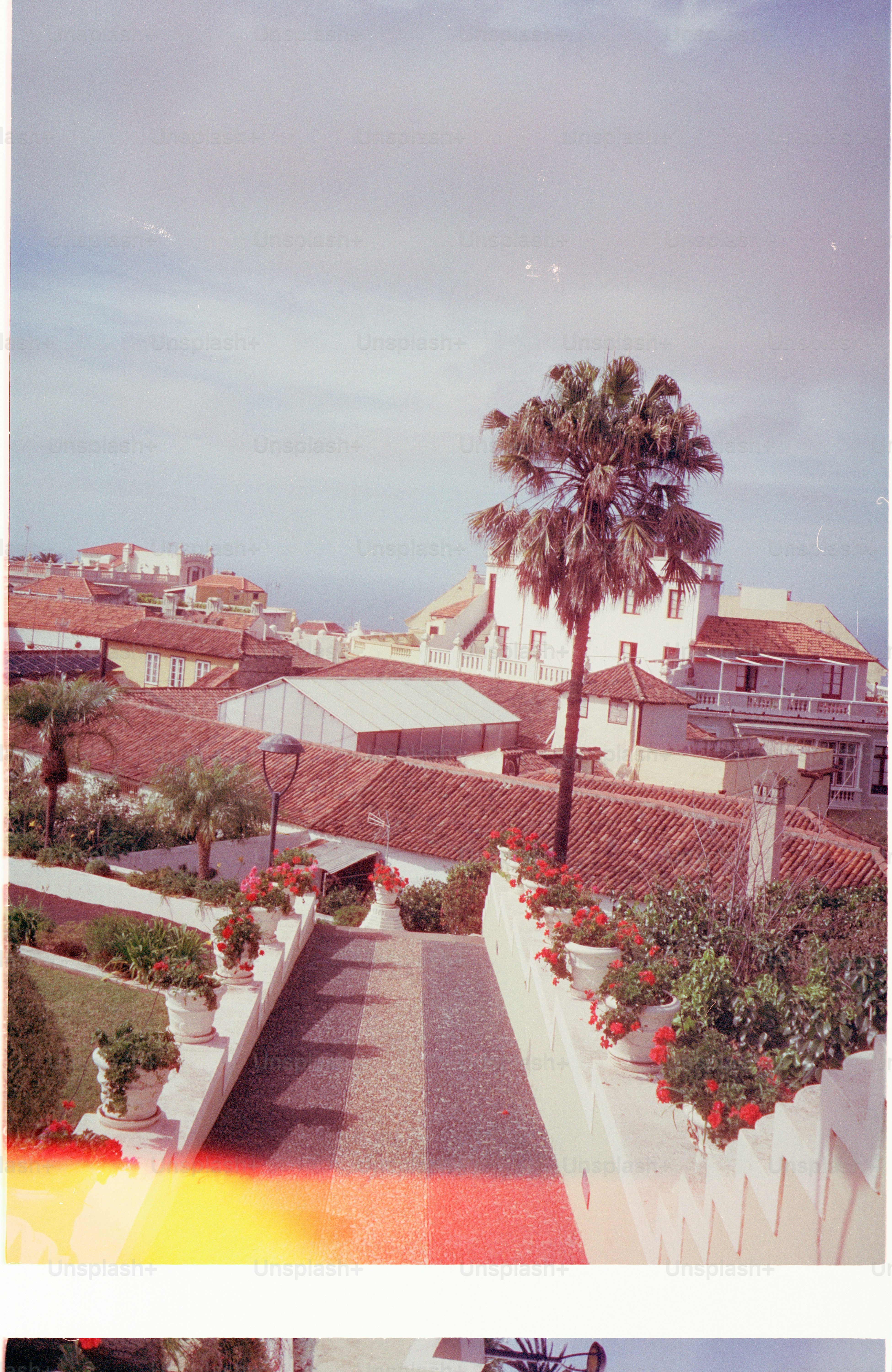 Path lined with potted flowers leads to town.