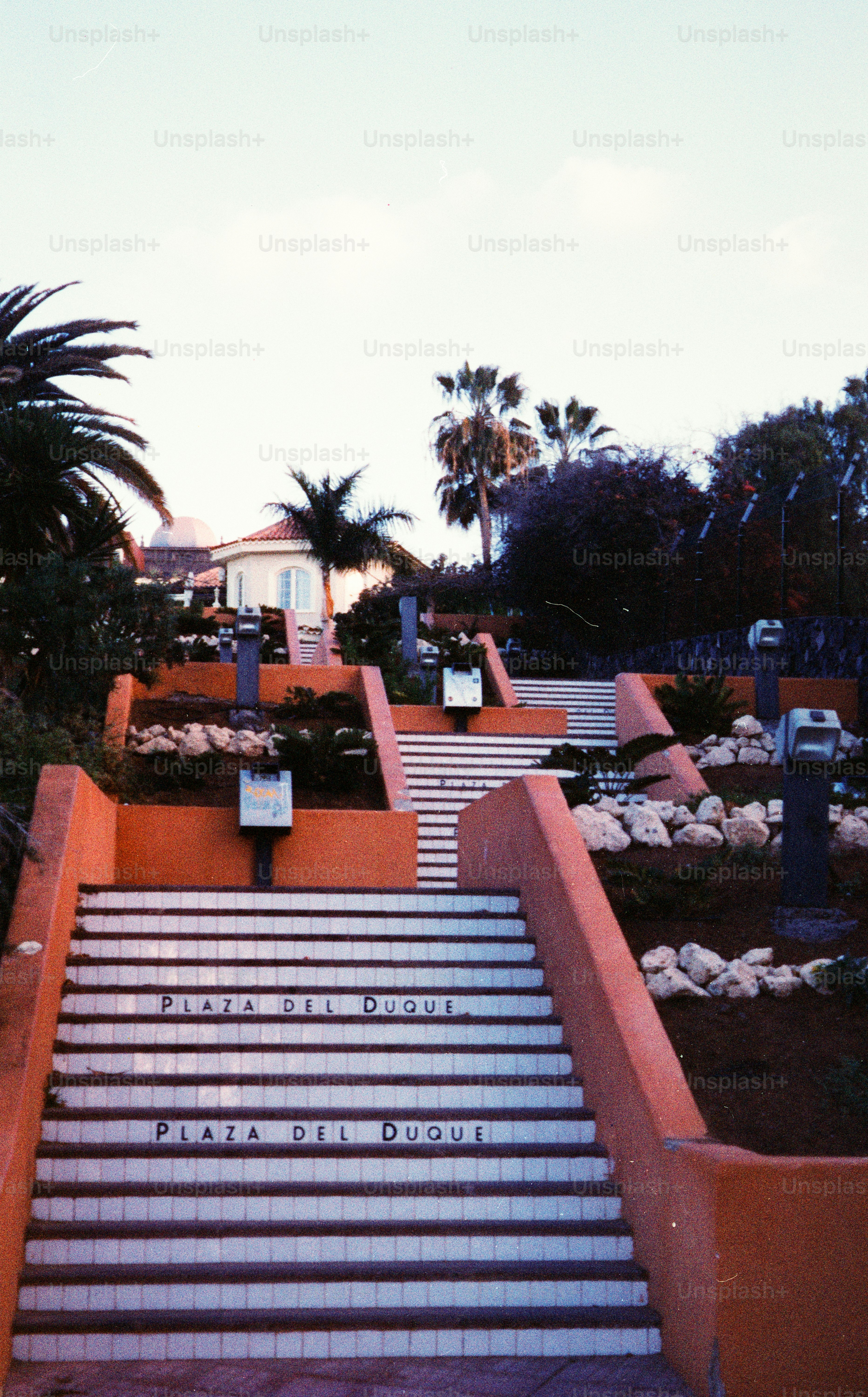 Orange stairs leading up to a plaza with palm trees.