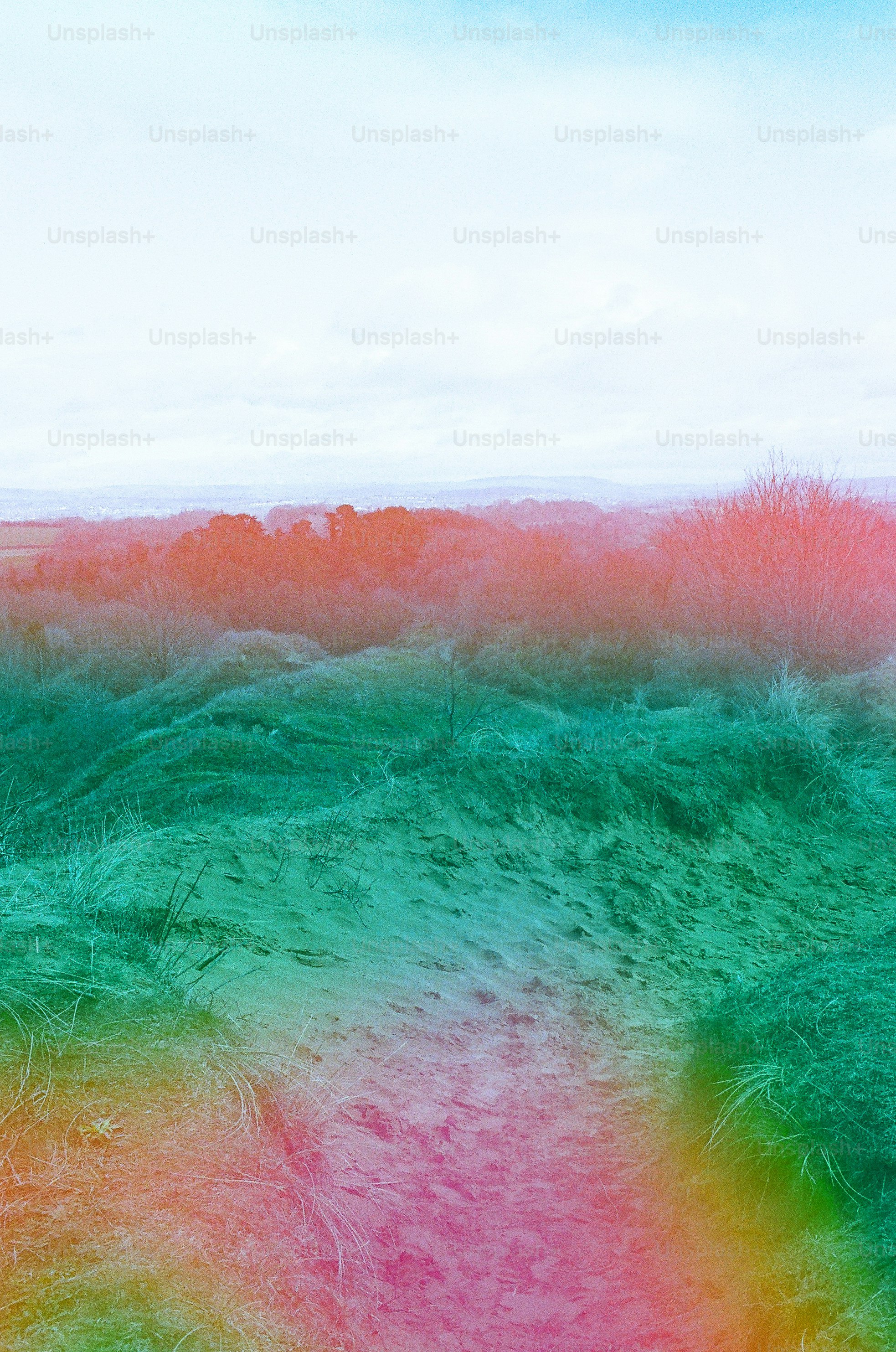 Grassy path through dunes with colorful overlay