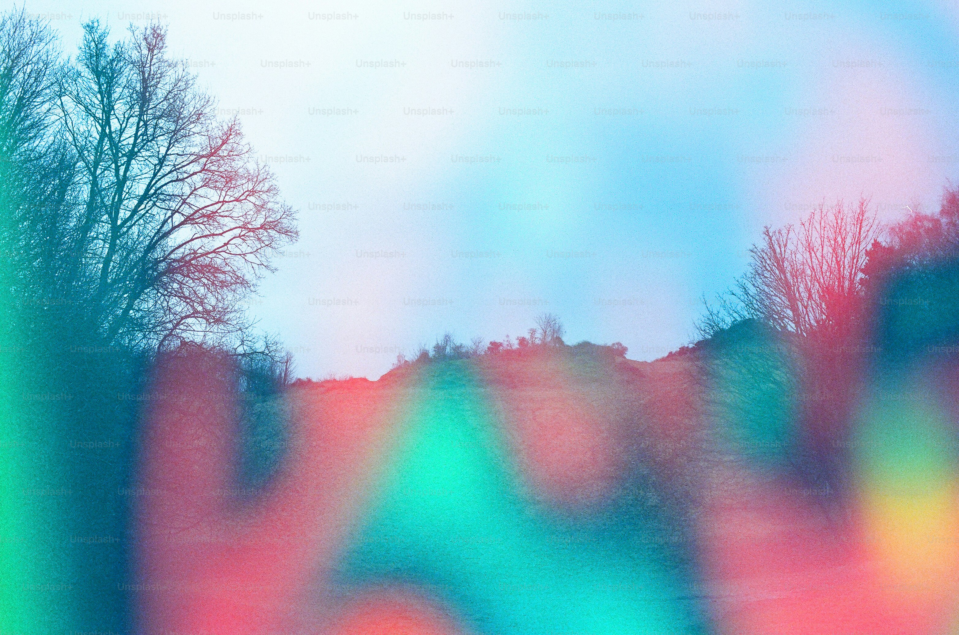 Bare trees on a hill with colorful light streaks