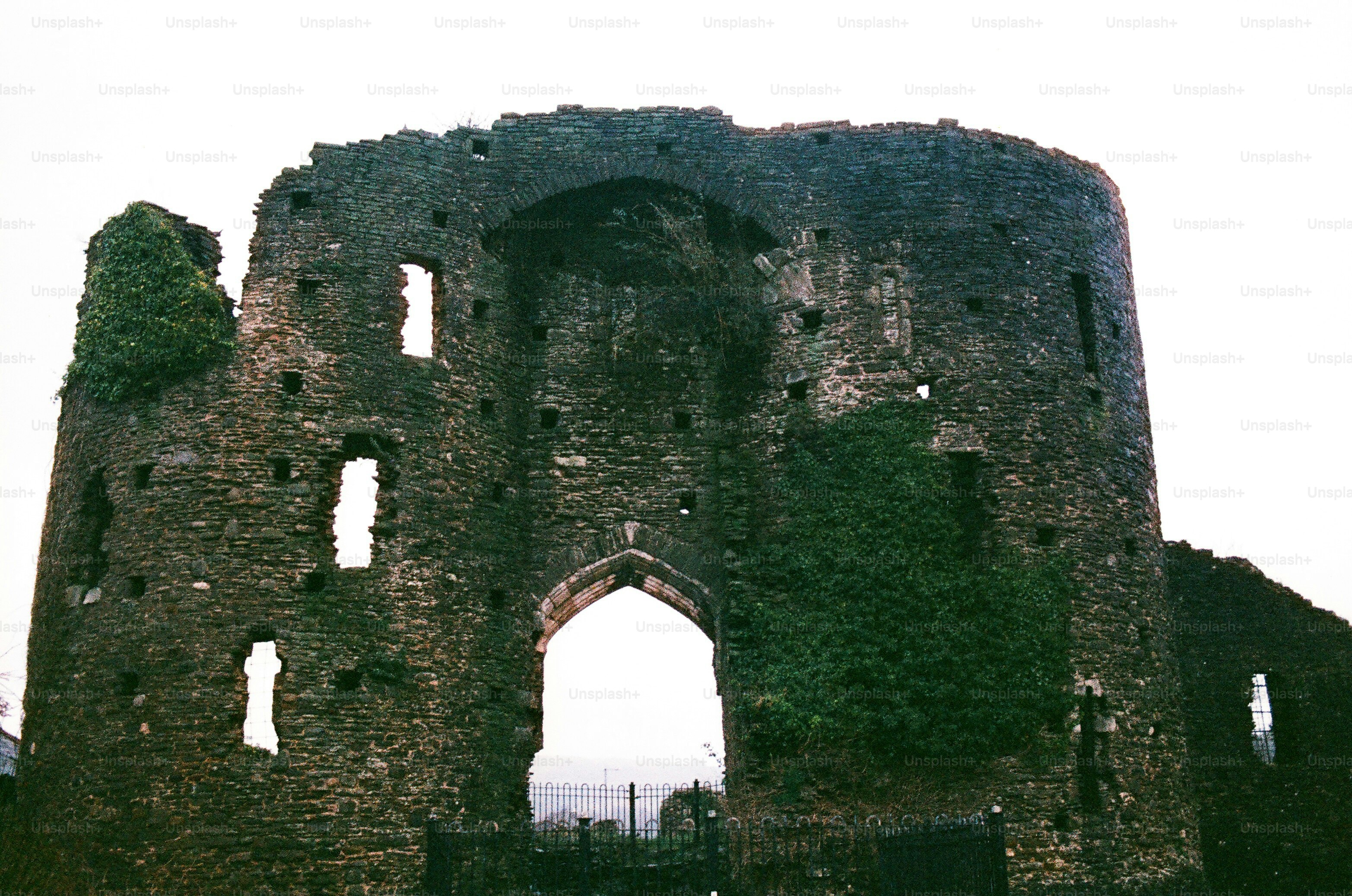 Ancient castle ruins covered in ivy under a cloudy sky