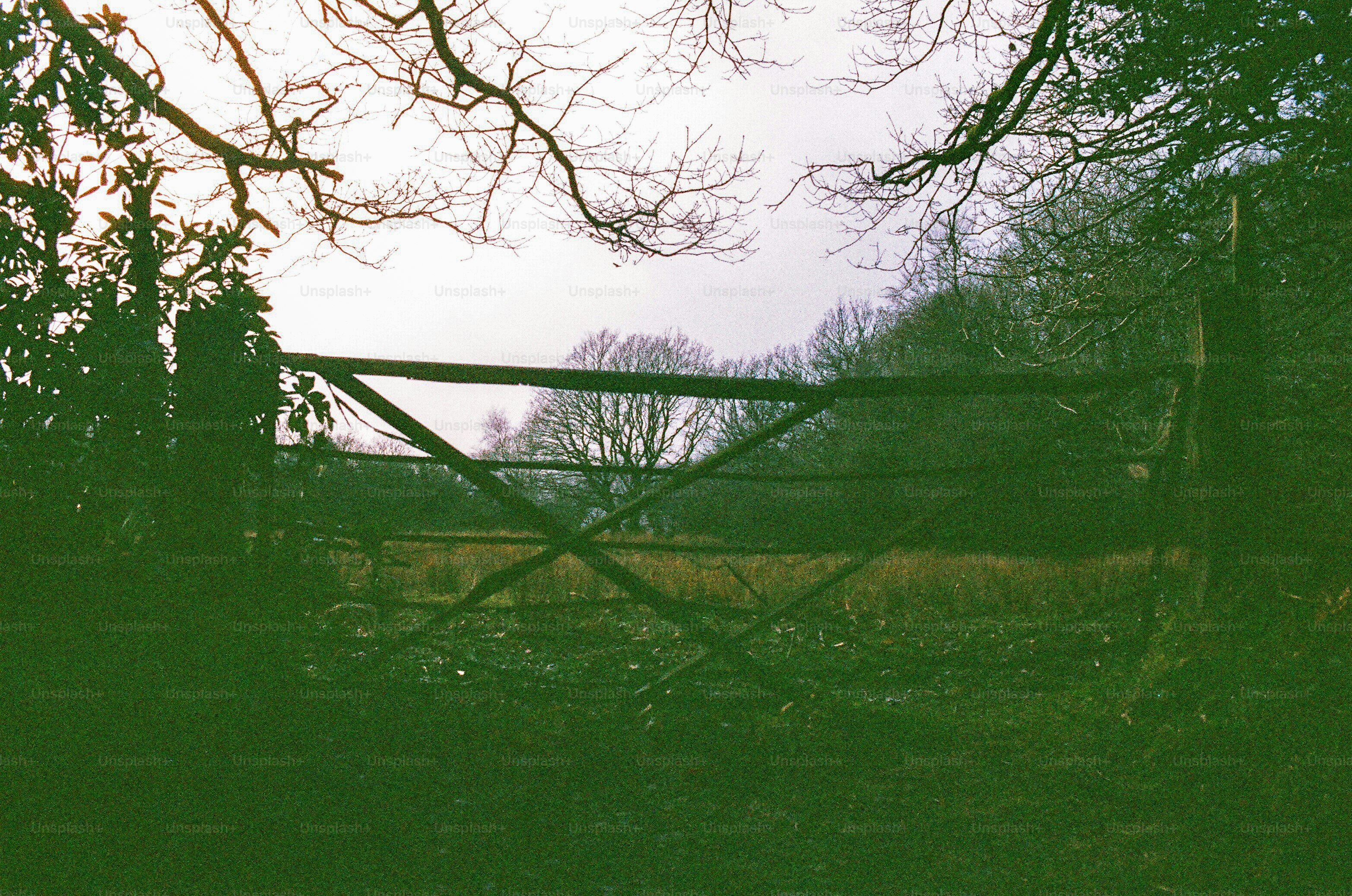 Wooden gate in a rural landscape with bare trees