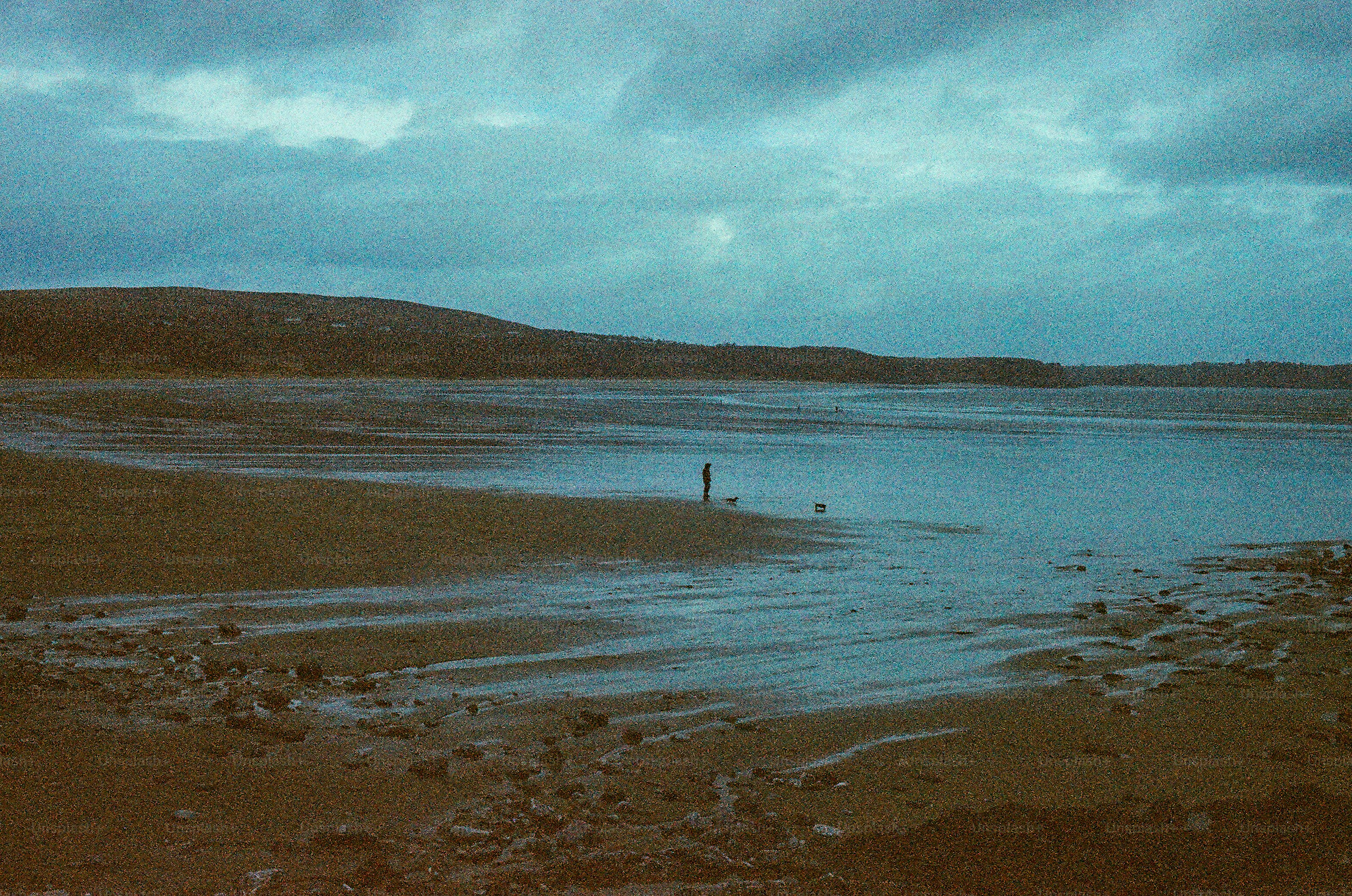 Una figura solitaria si trova accanto a un scorpione d'acqua calmo.