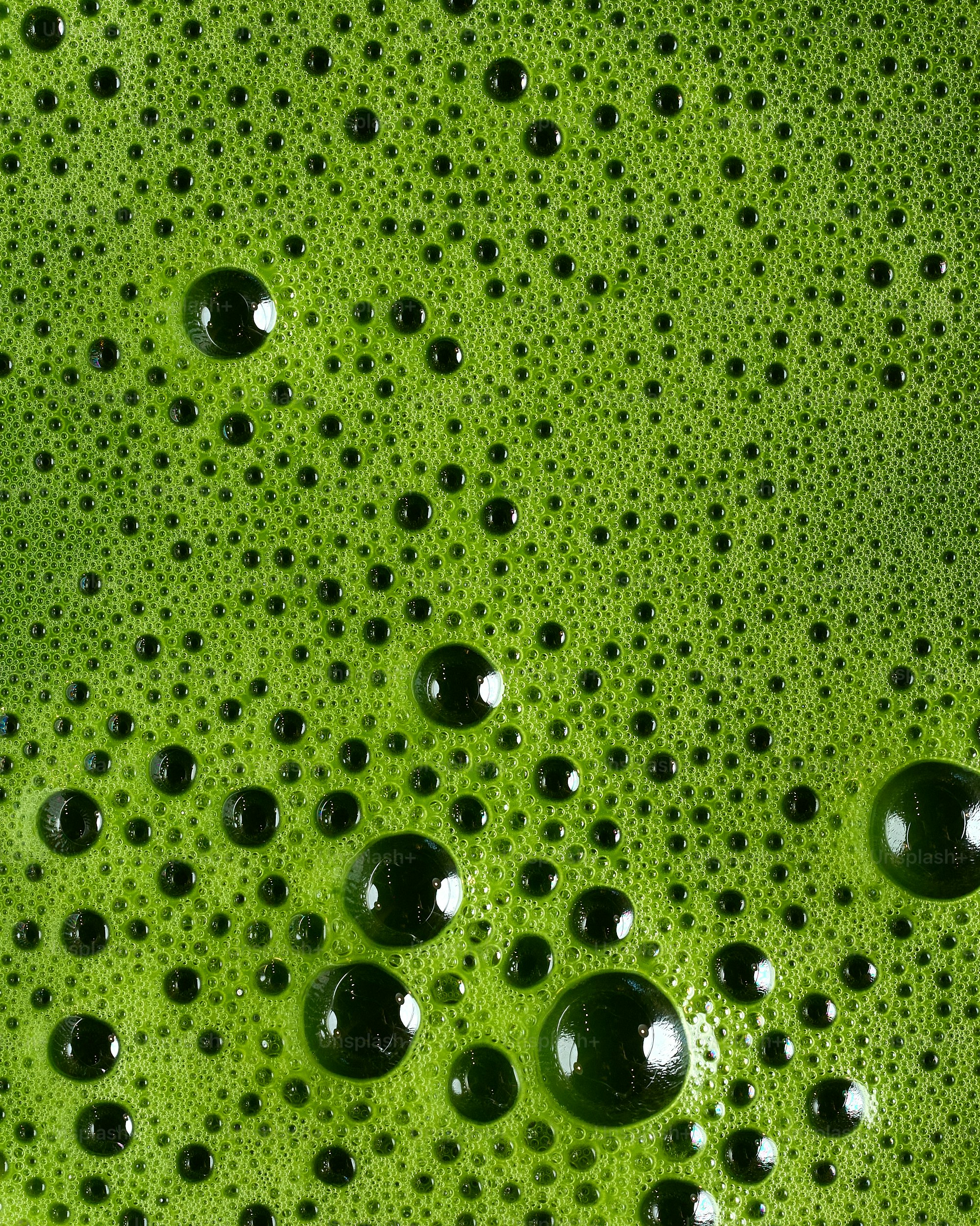 Green liquid with many small bubbles and some large ones.