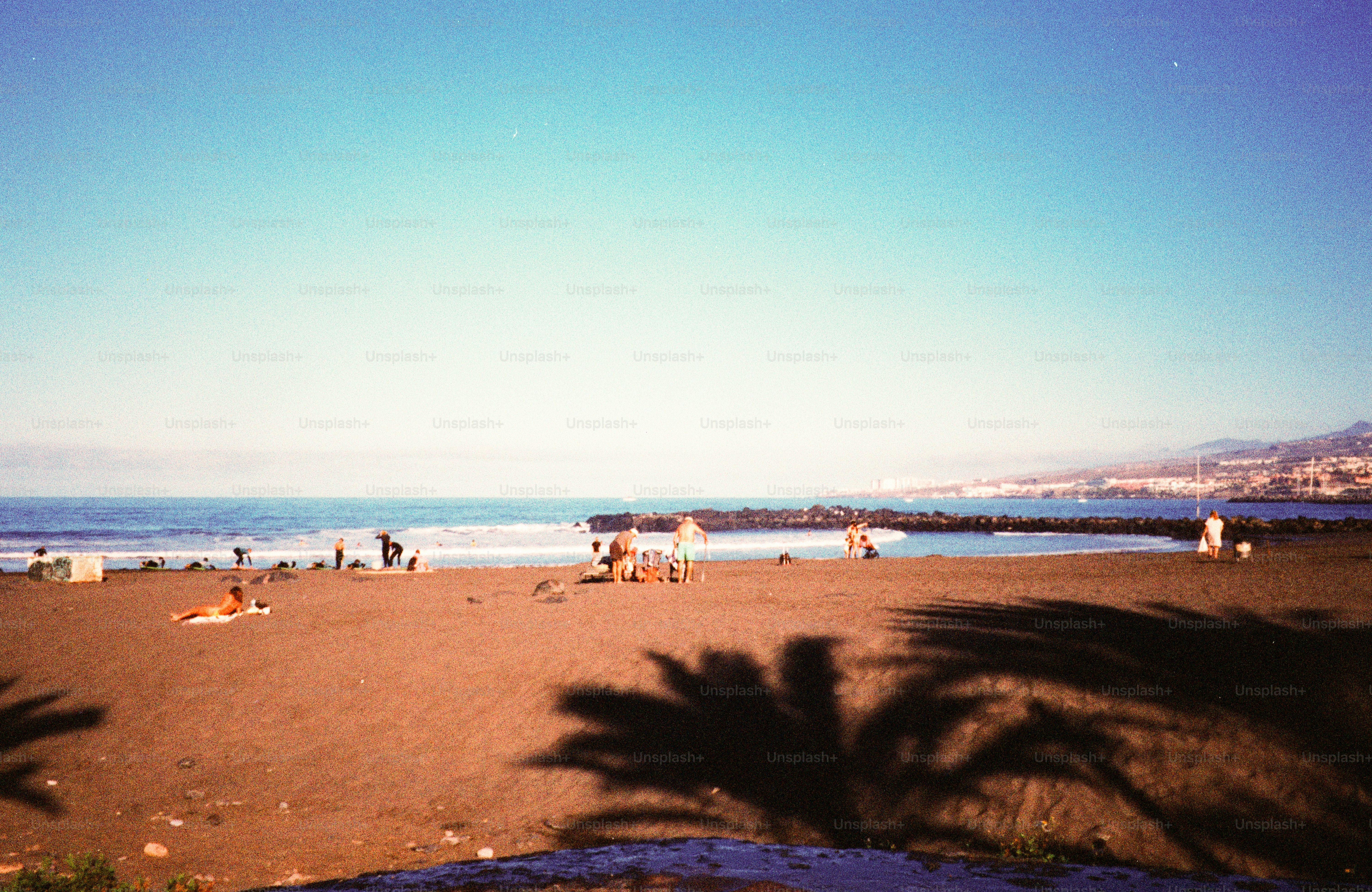Des gens se détendant sur une plage de sable à l’ombre des palmiers.