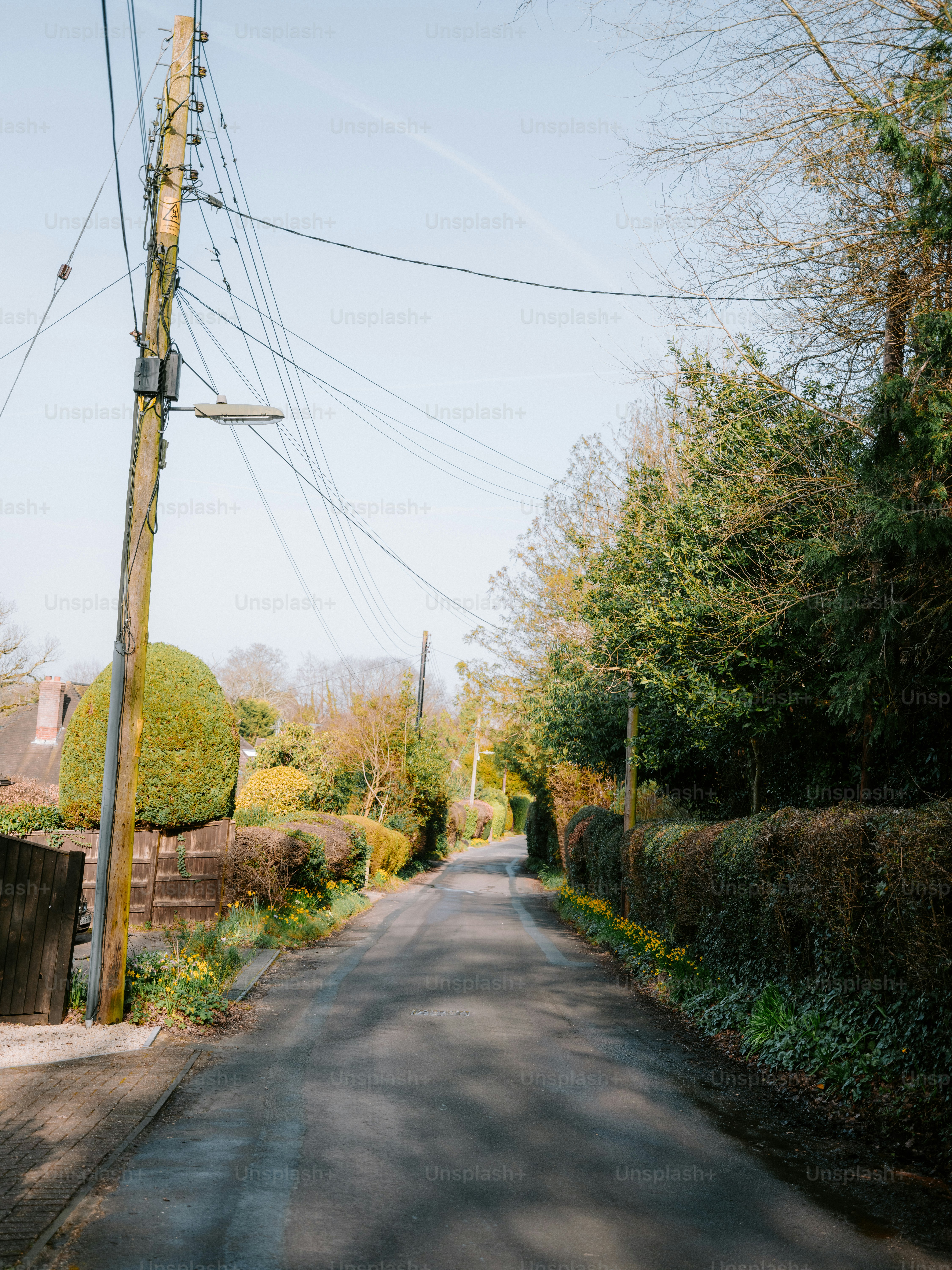 Una strada tranquilla, fiancheggiata da alberi, con un palo di legno per il telefono.