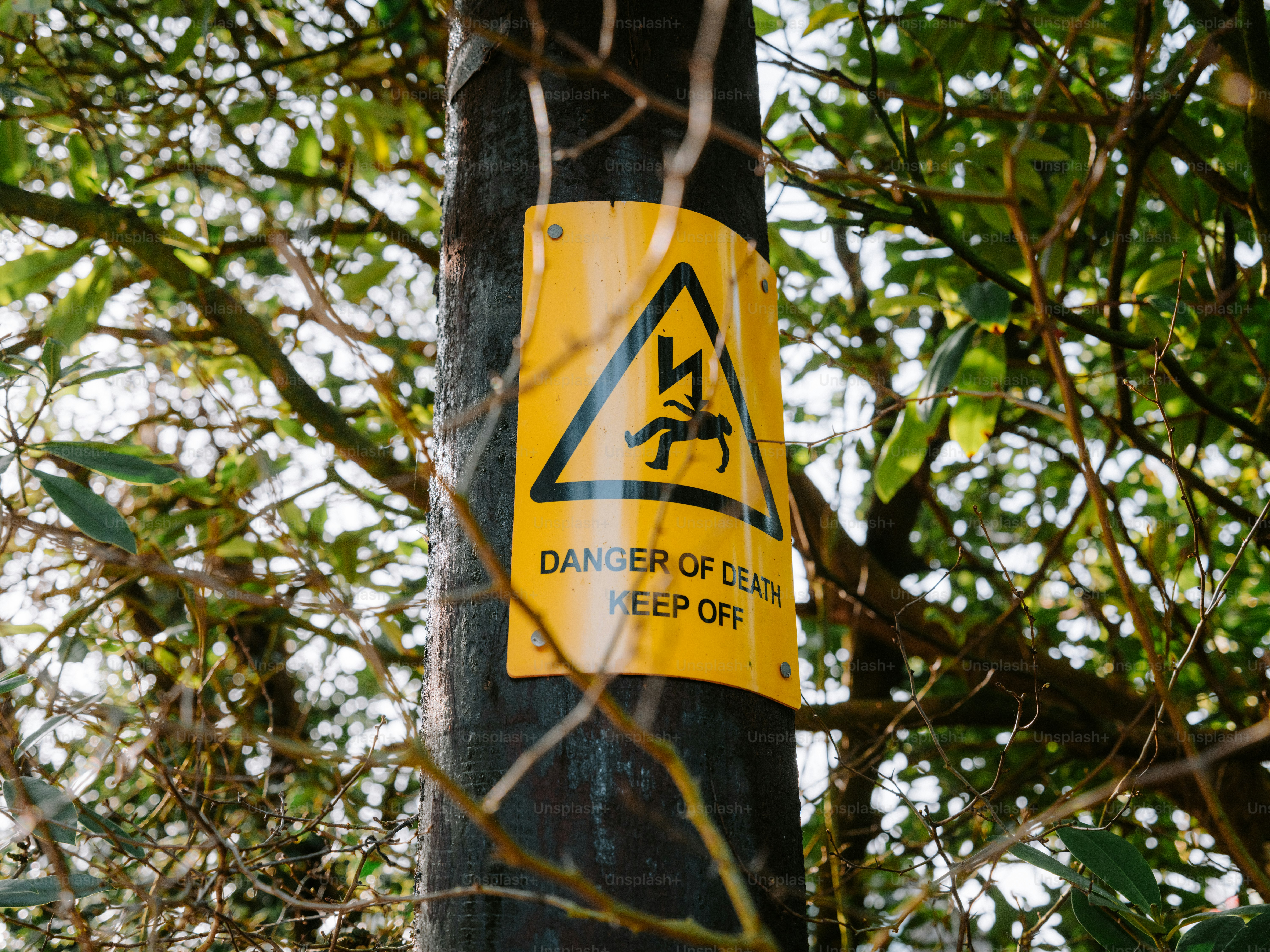 Panneau de danger jaune sur un poteau en bois