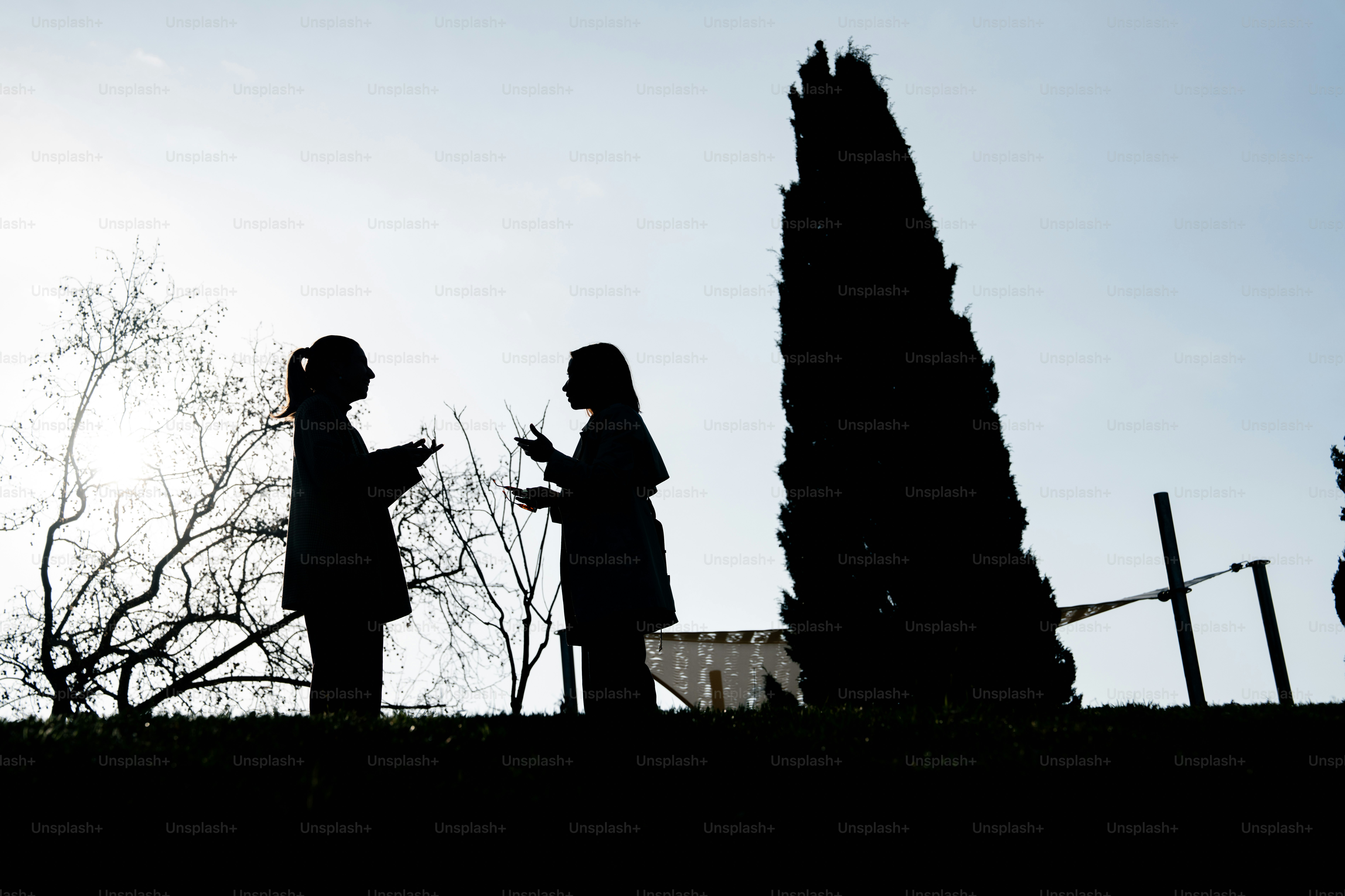 나무가 있는 야외에서 두 사람이 이야기하고 있습니다