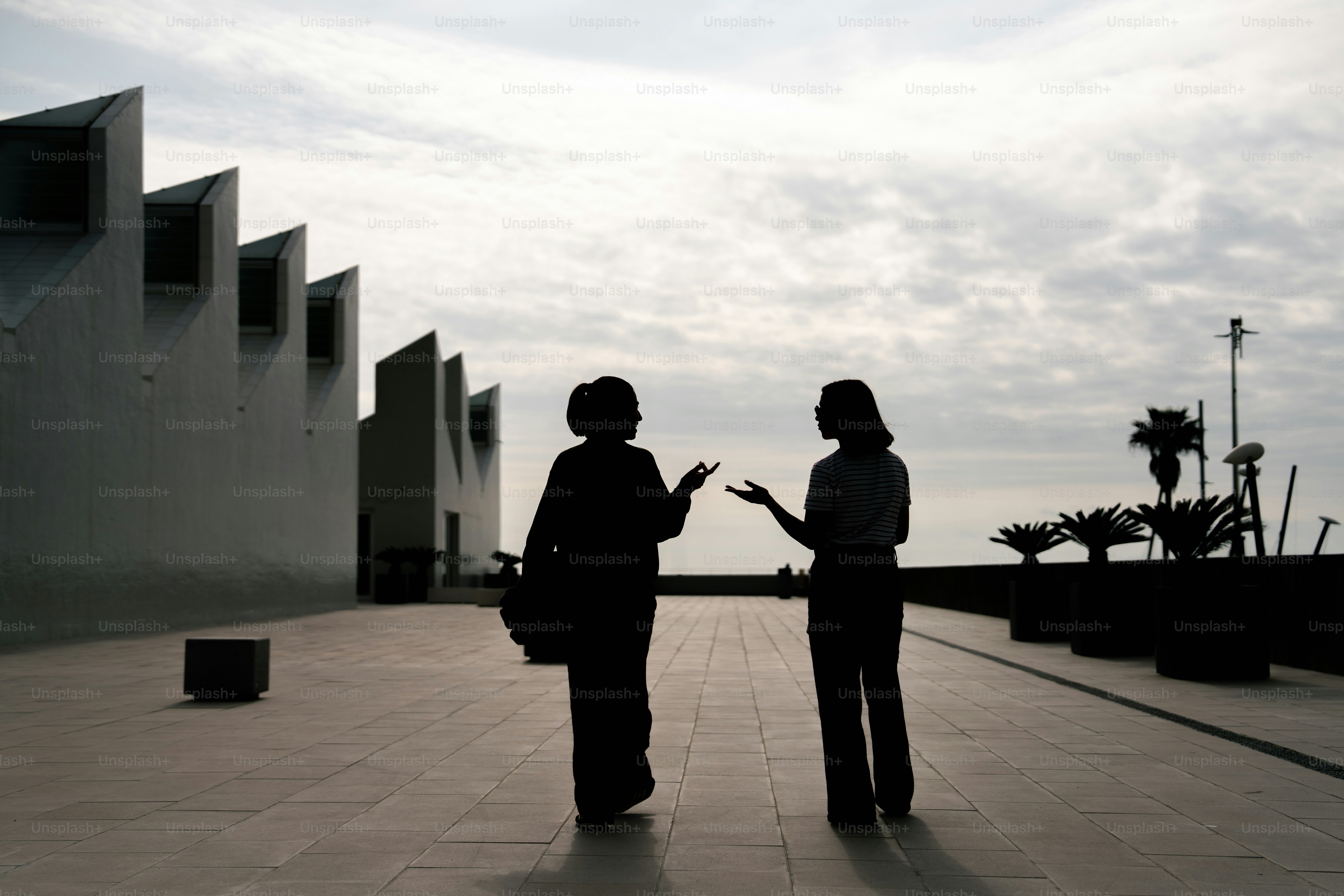 두 명의 실루엣 인물이 현대식 건물 근처 야외에서 대화를 나누고 있다.