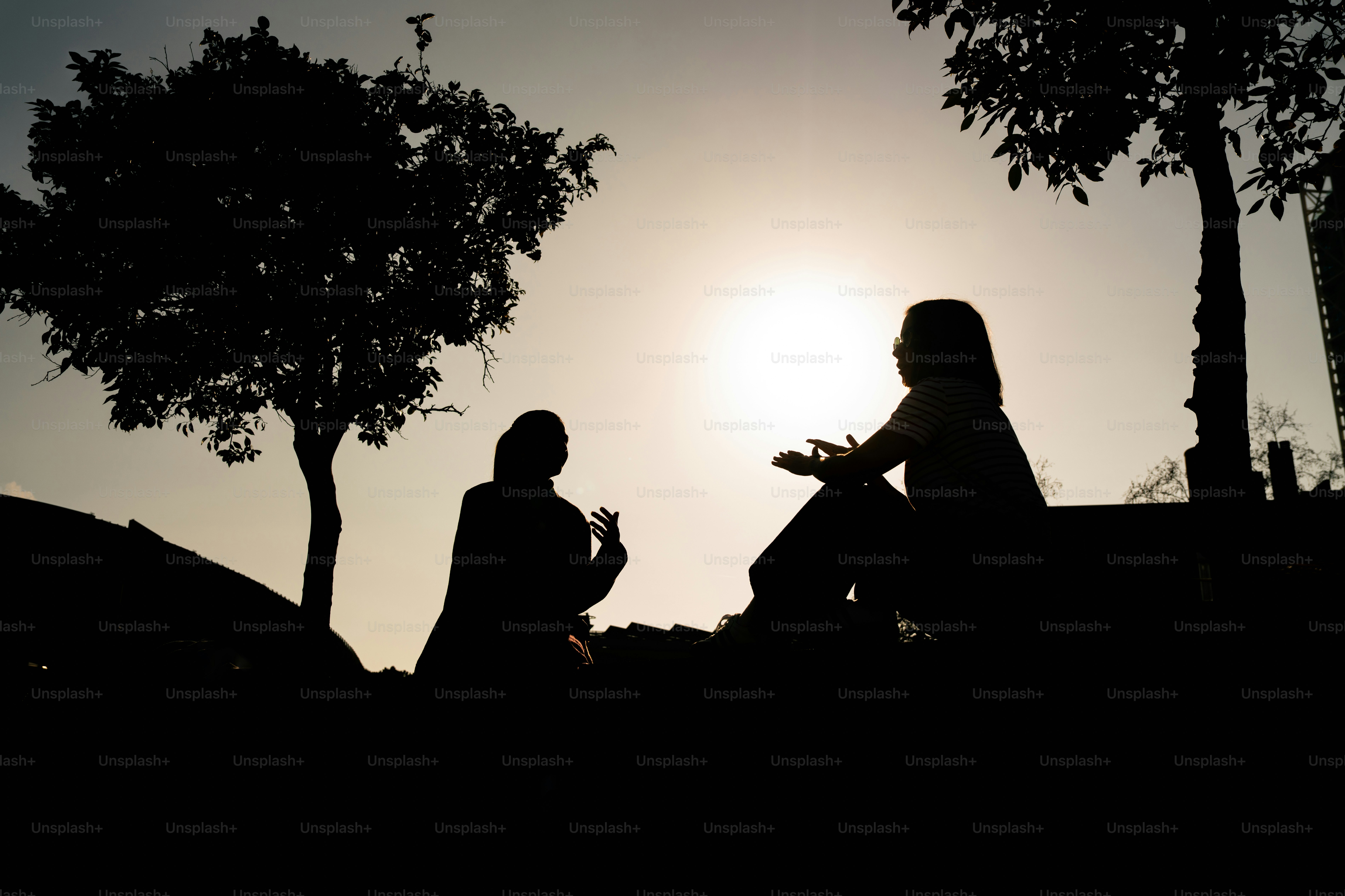 두 사람이 저무는 해를 배경으로 실루엣을 드러냈다.