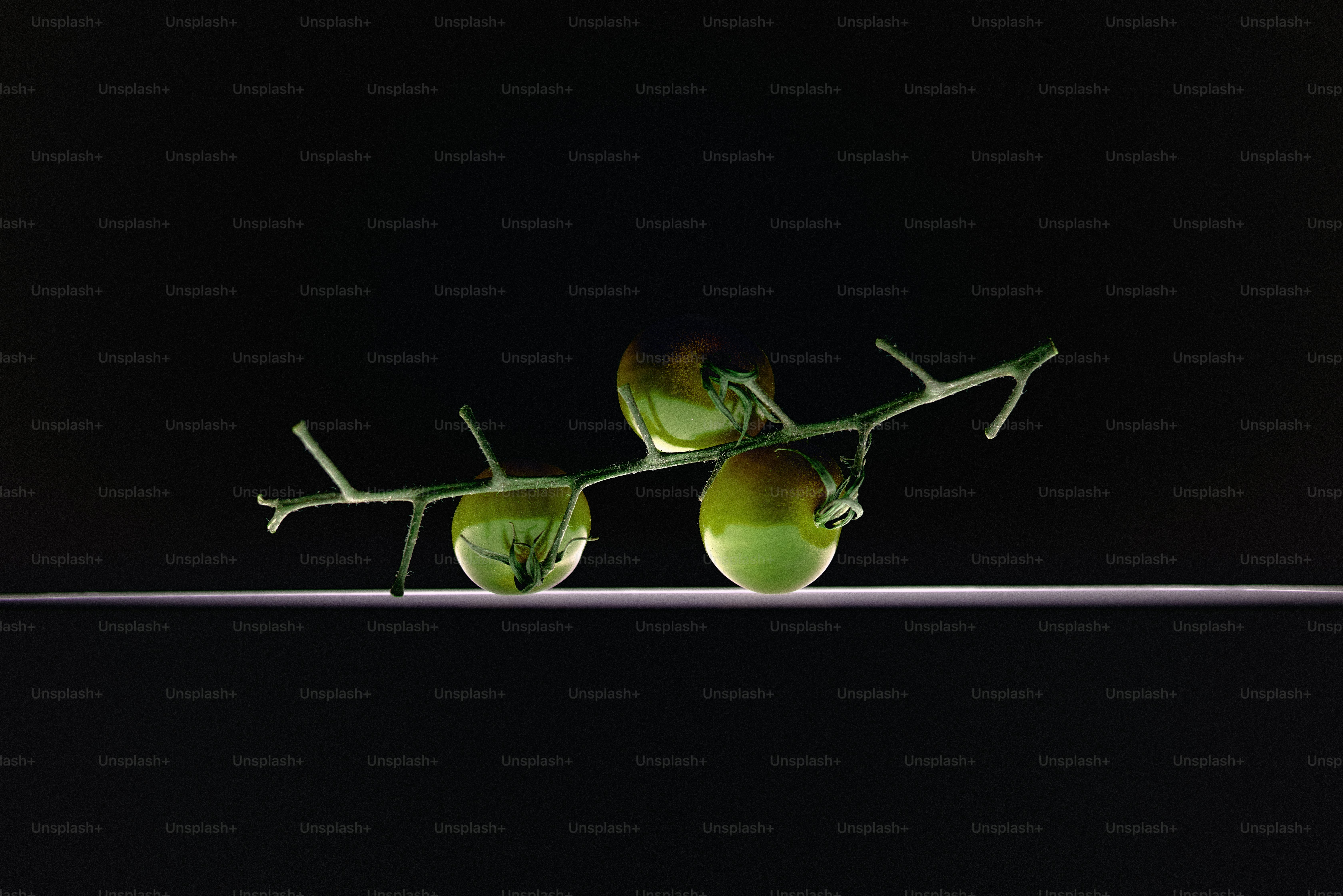 Tomates verdes na videira contra pretos