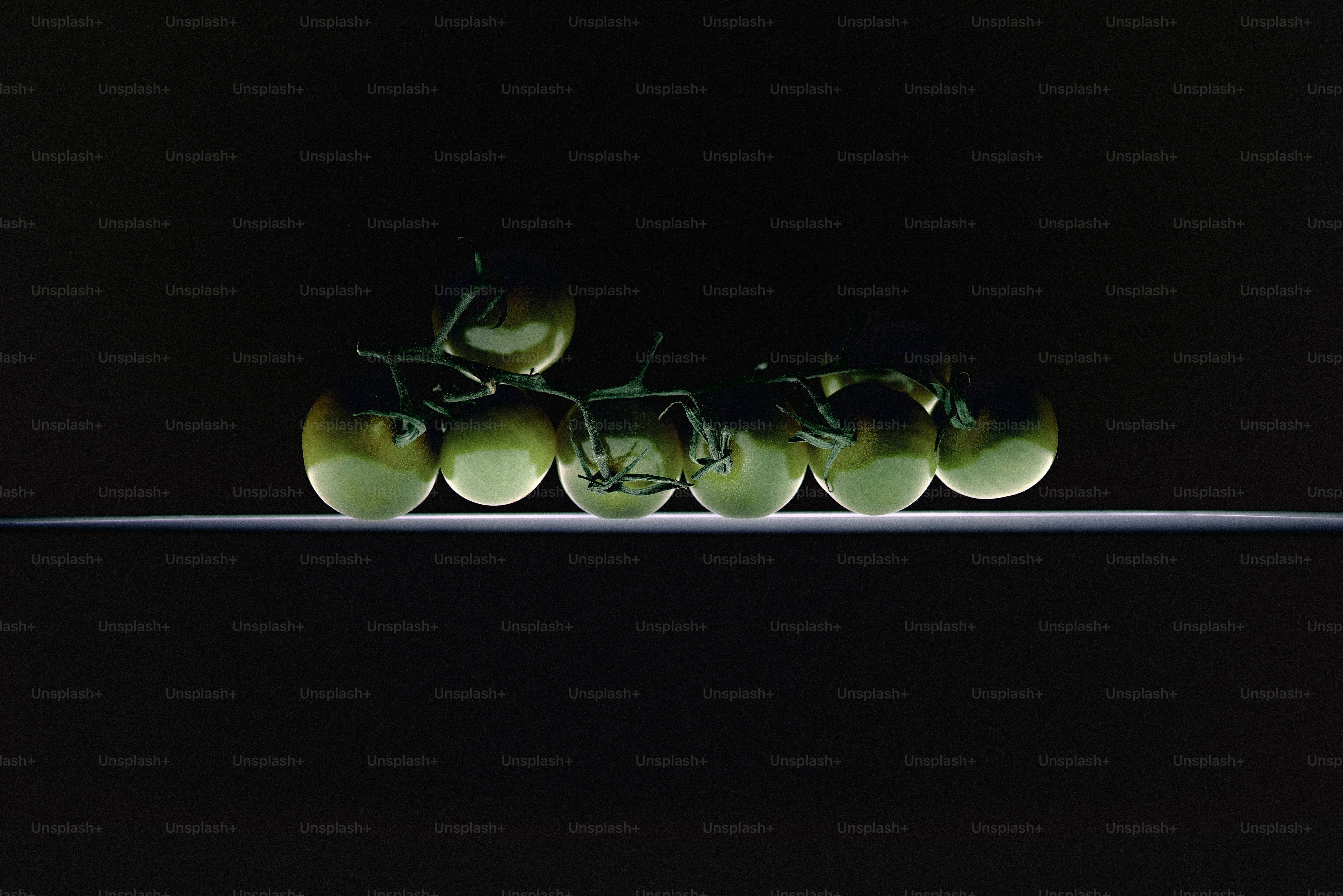 Tomates verdes en la enredadera sobre fondo oscuro.