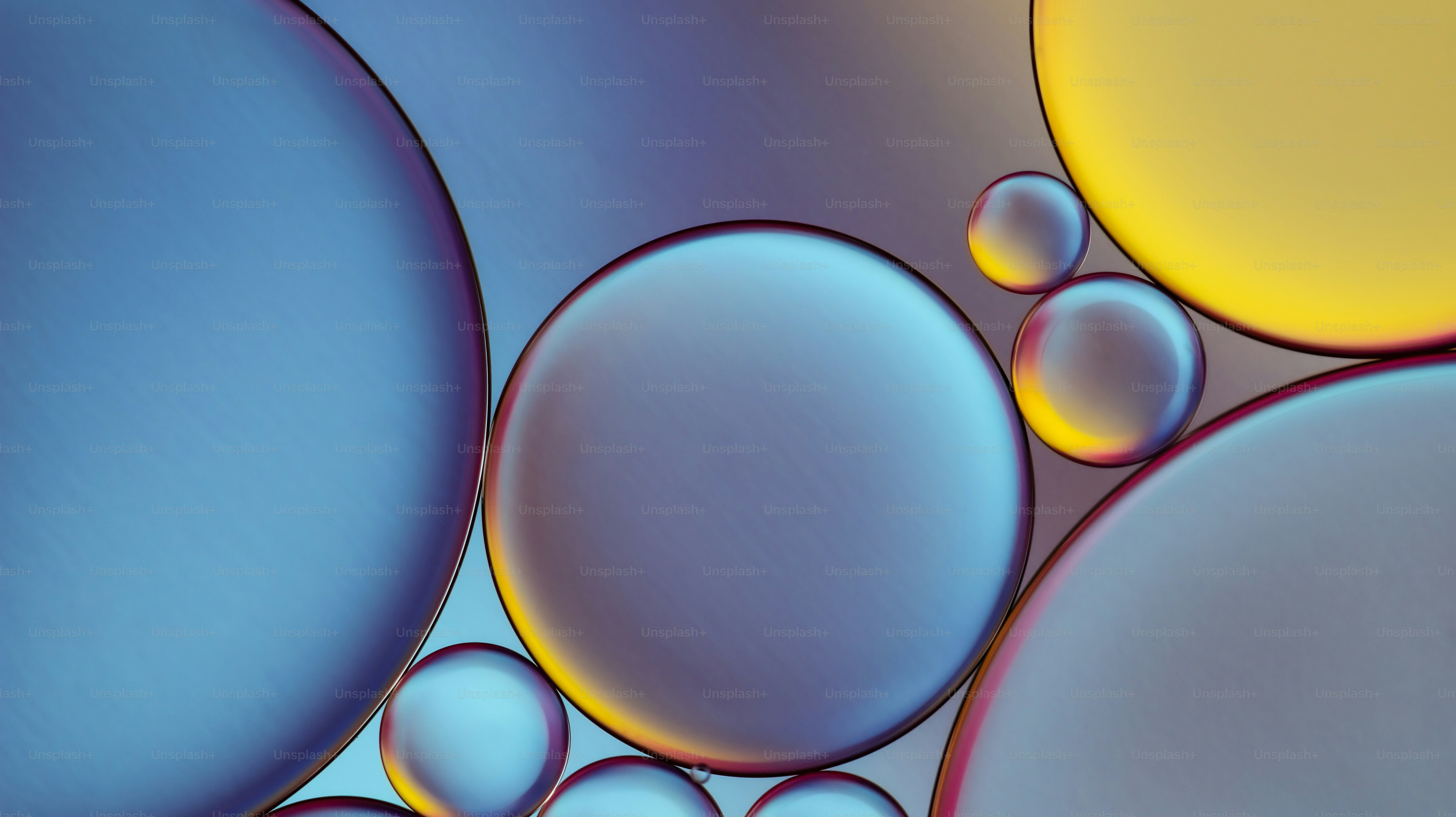Abstract colorful oil and water bubbles close-up