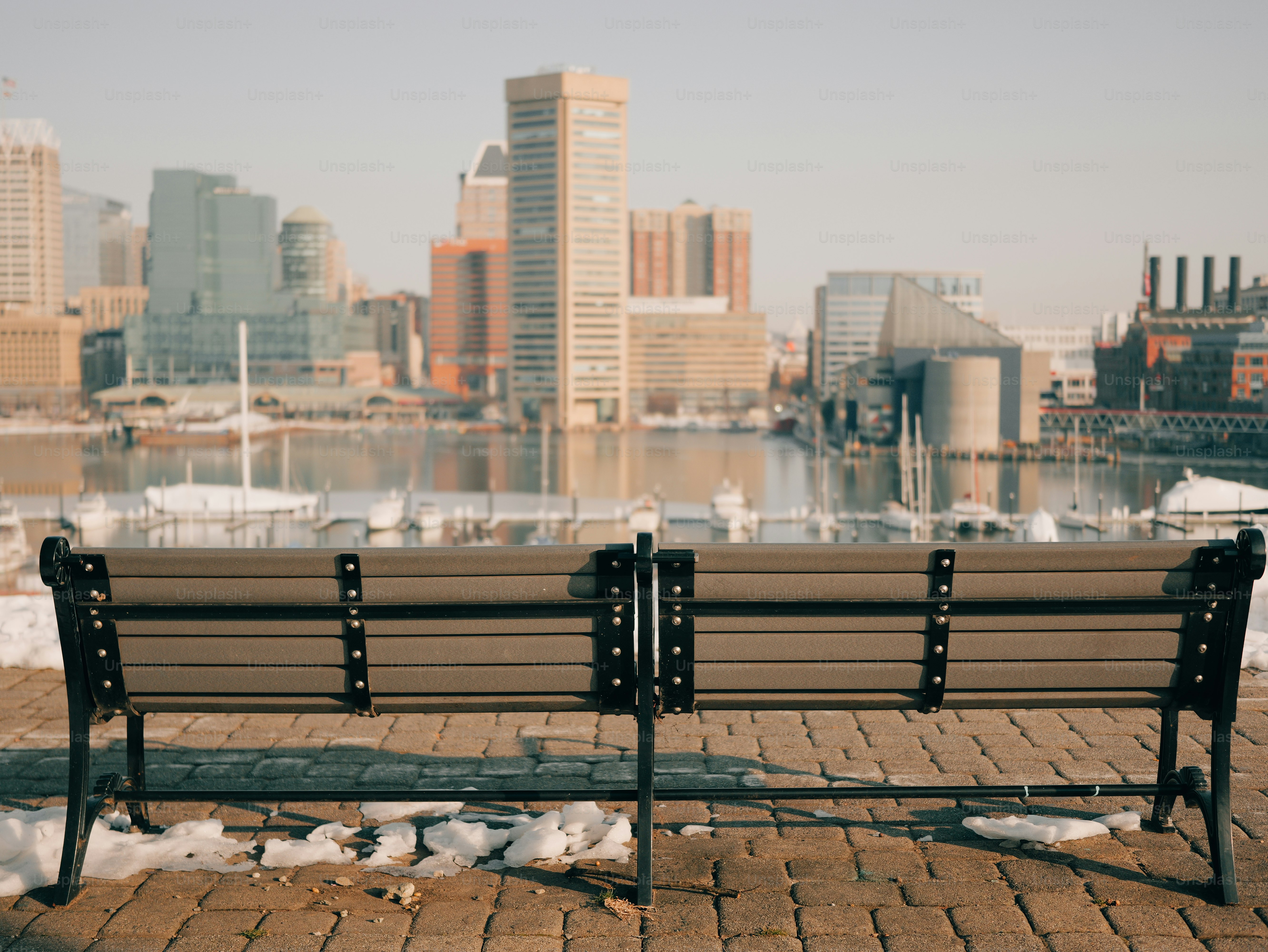 Park bench overlooks a city skyline and harbor.