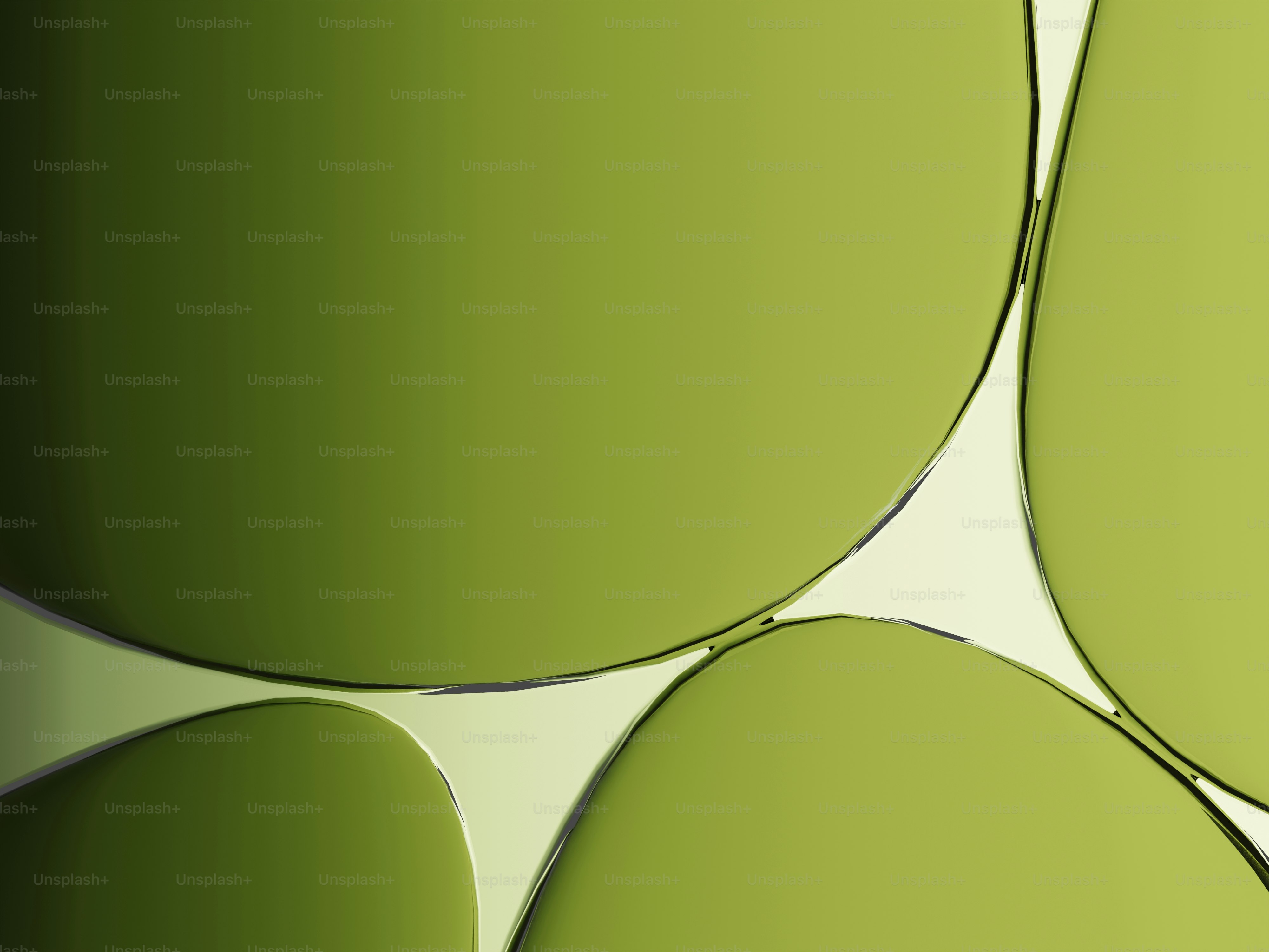 薄い背景に暗い輪郭を持つ抽象的な緑の形