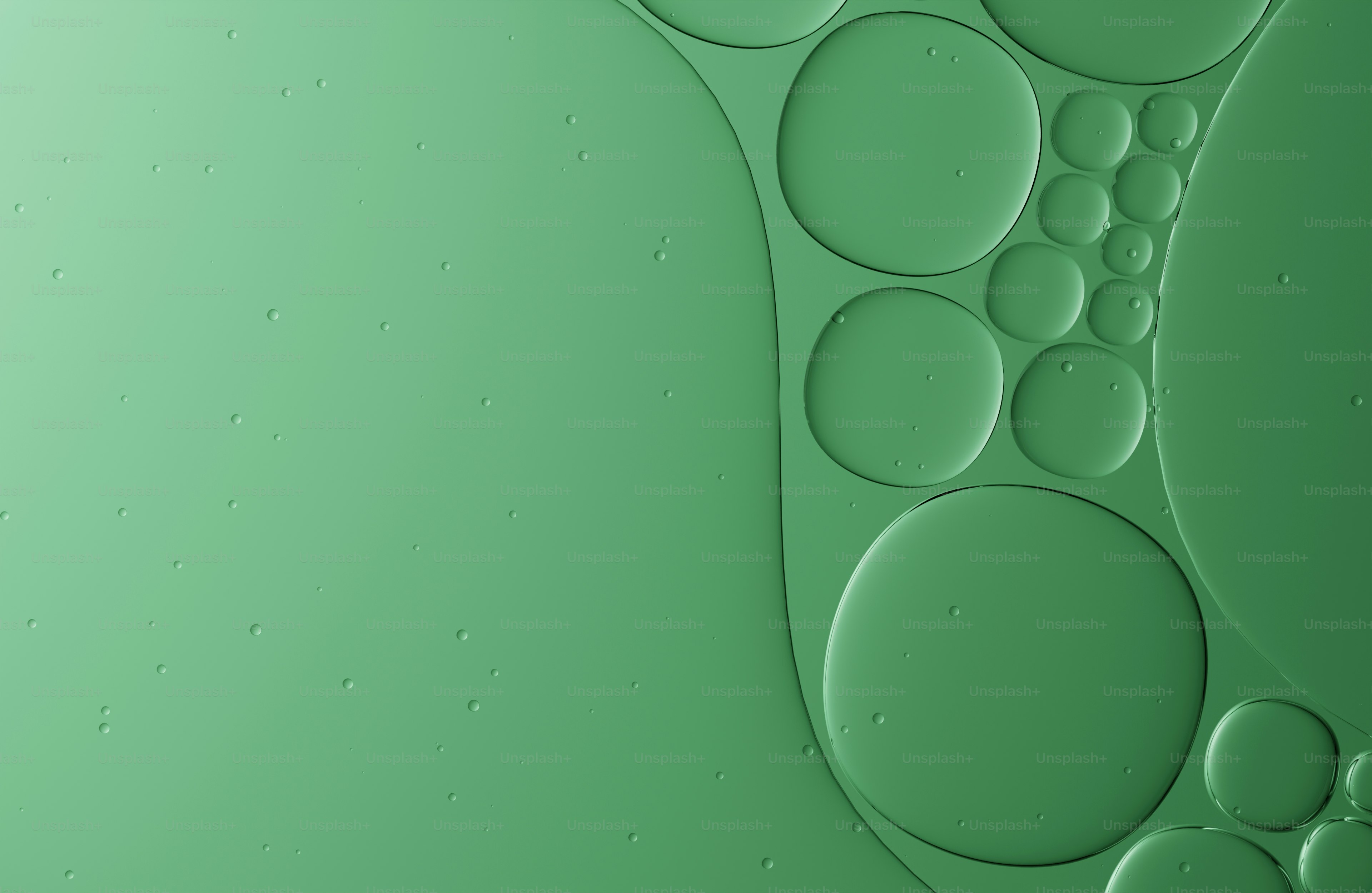 緑色の背景に大小さまざまな円が描かれています。