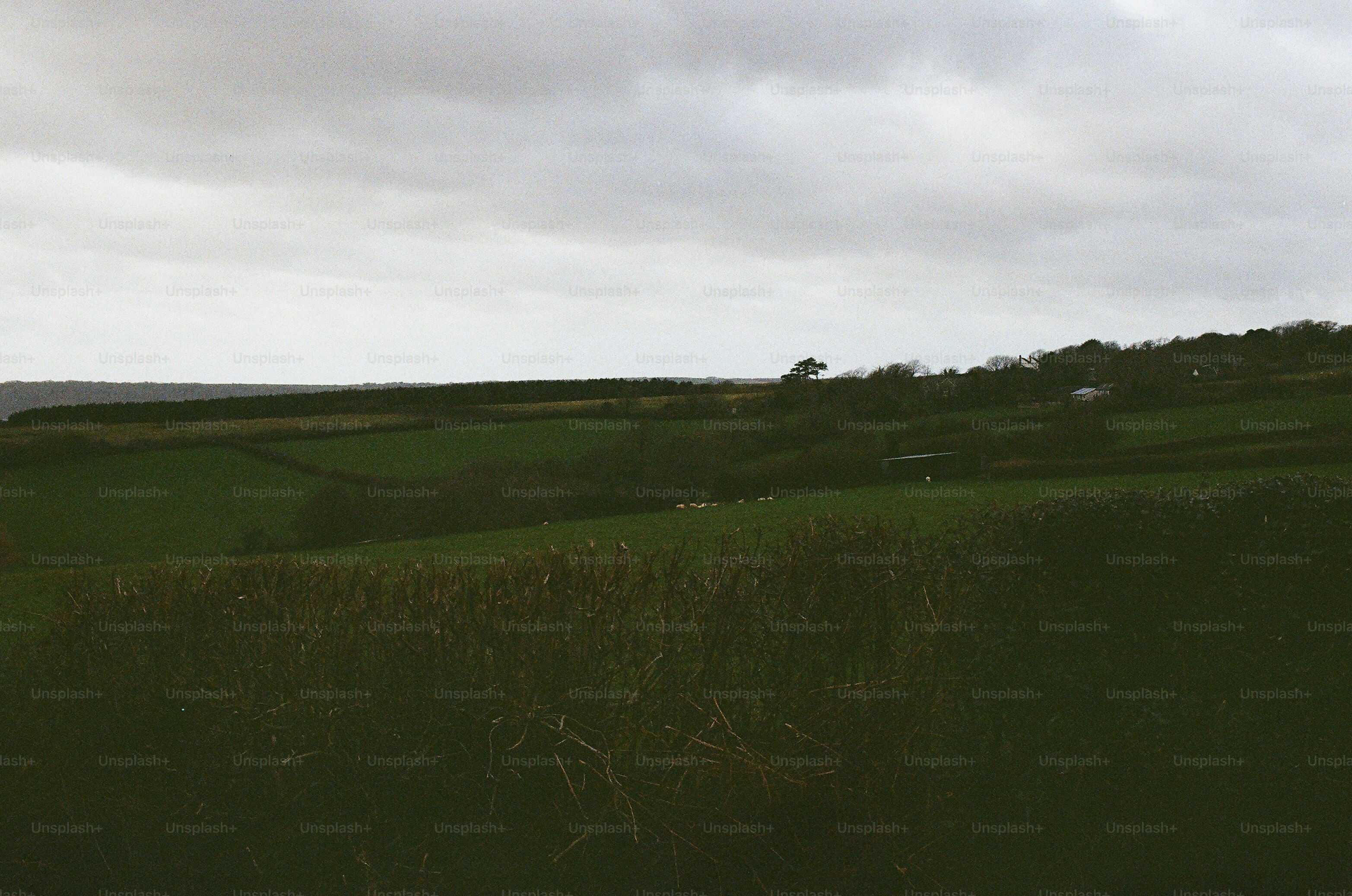 Green rolling hills under a cloudy sky photo – Peaceful Image on Unsplash