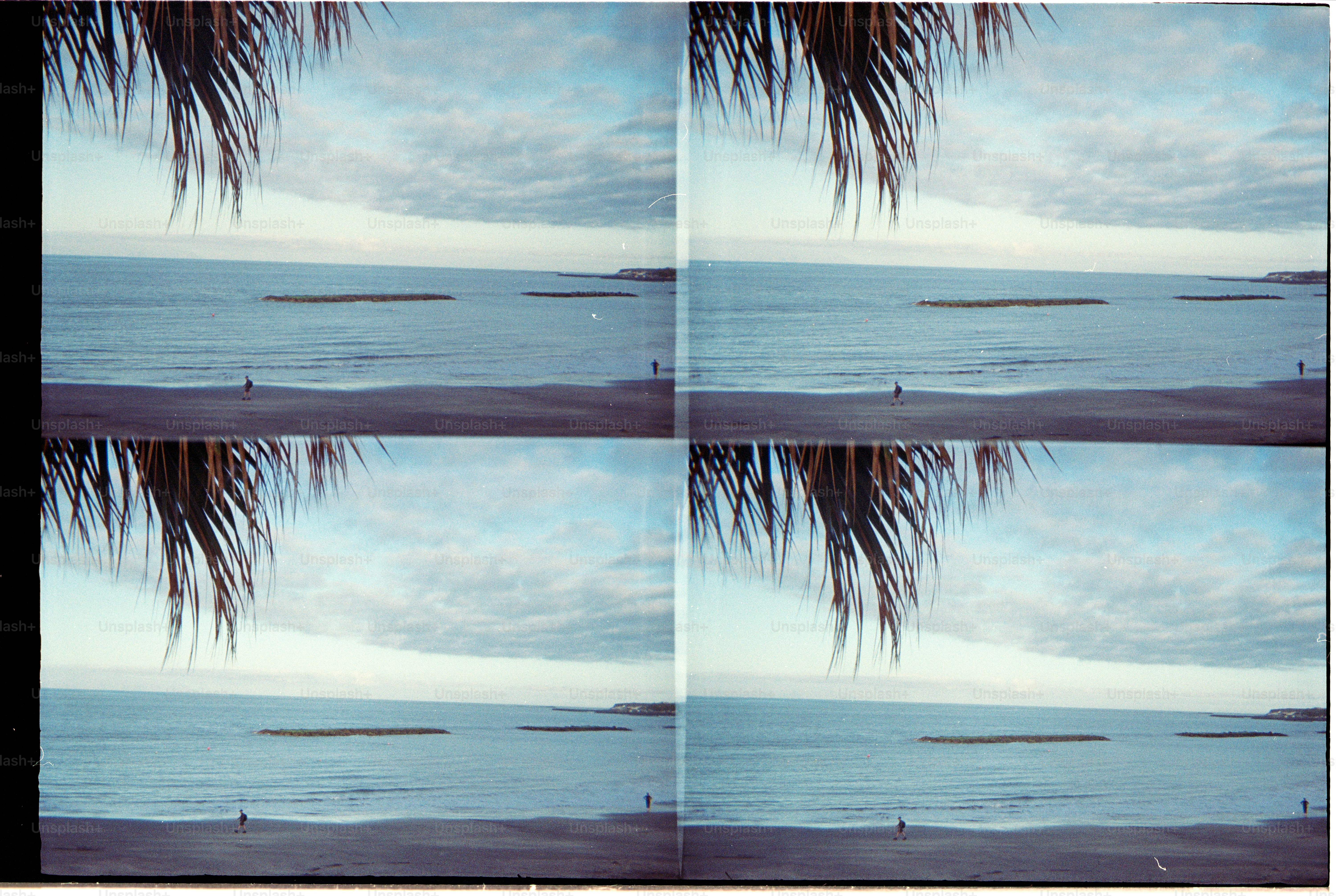 ヤシの葉が穏やかな海の景色と穏やかな波を縁取っています。