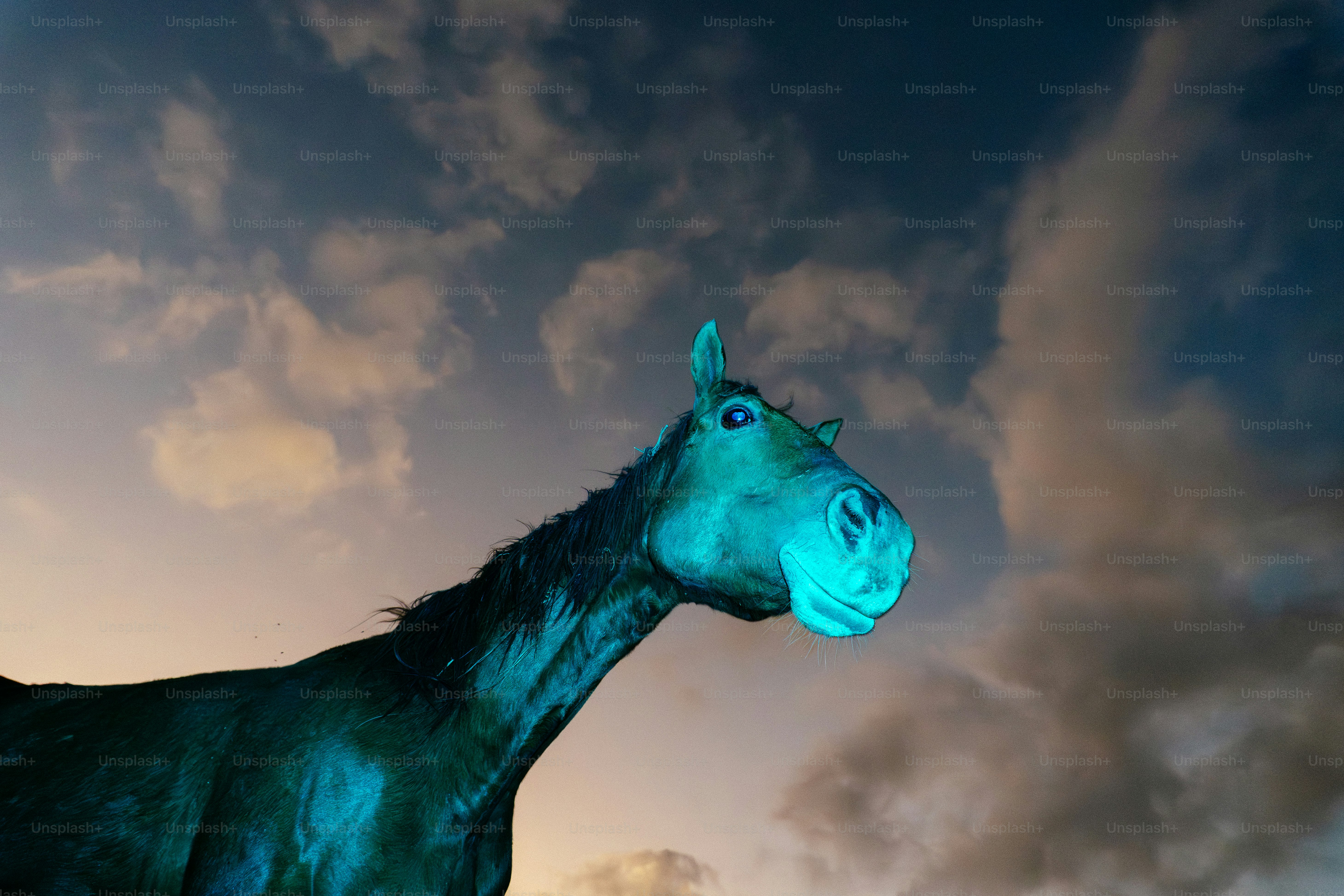 A horse with glowing blue eyes under a cloudy sky