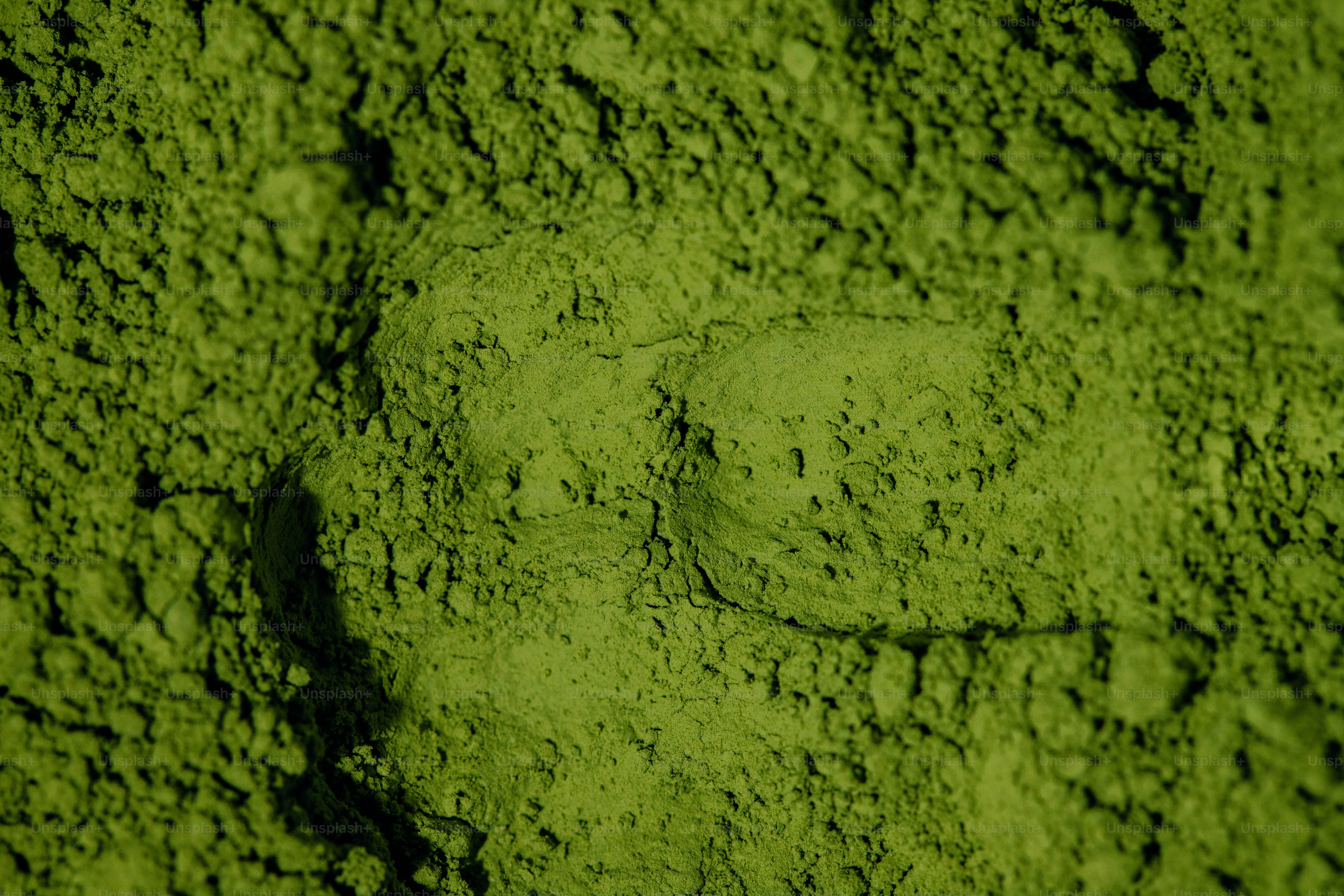 선명한 녹색 말차 가루 클로즈업