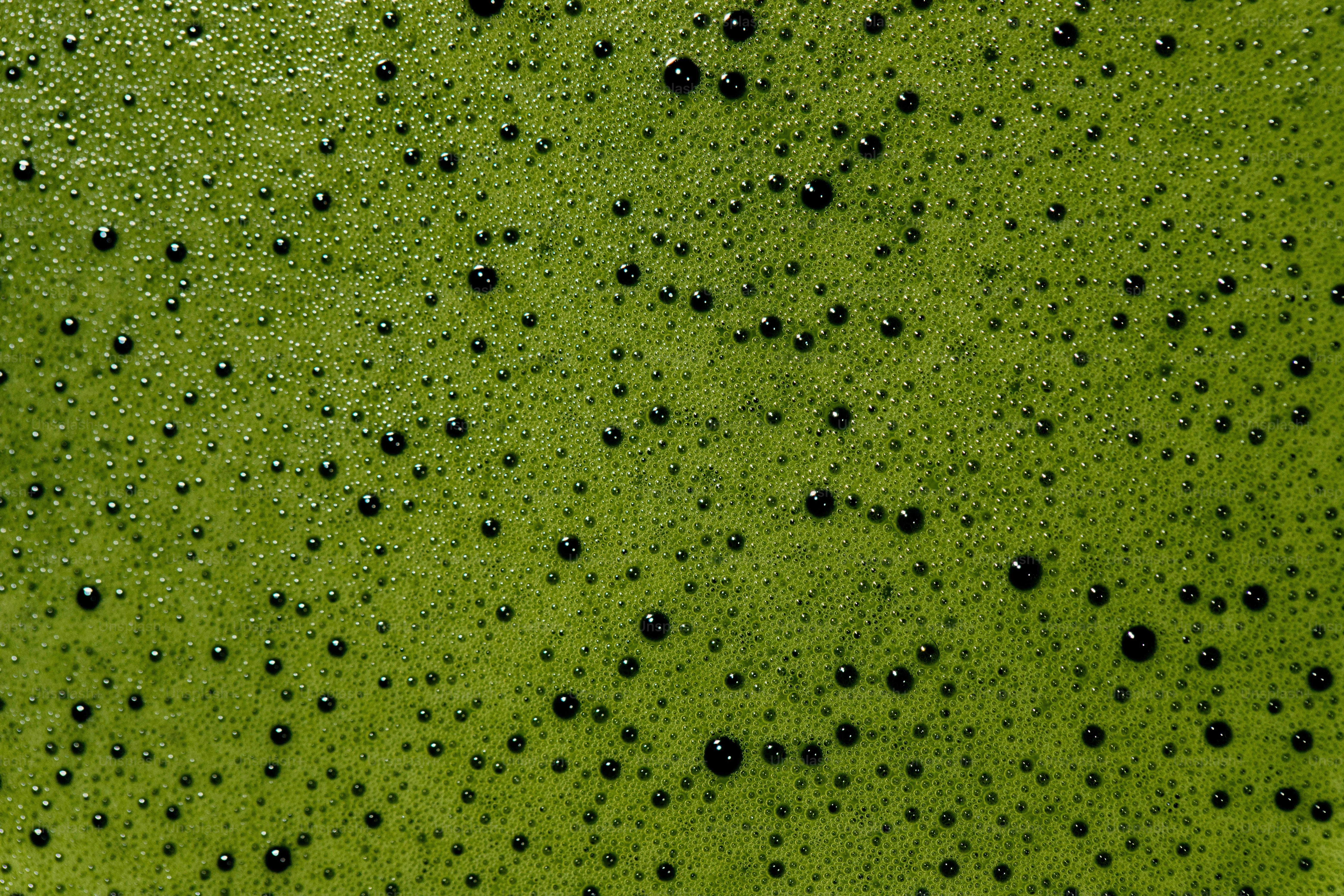 작은 기포가 많은 녹색 액체