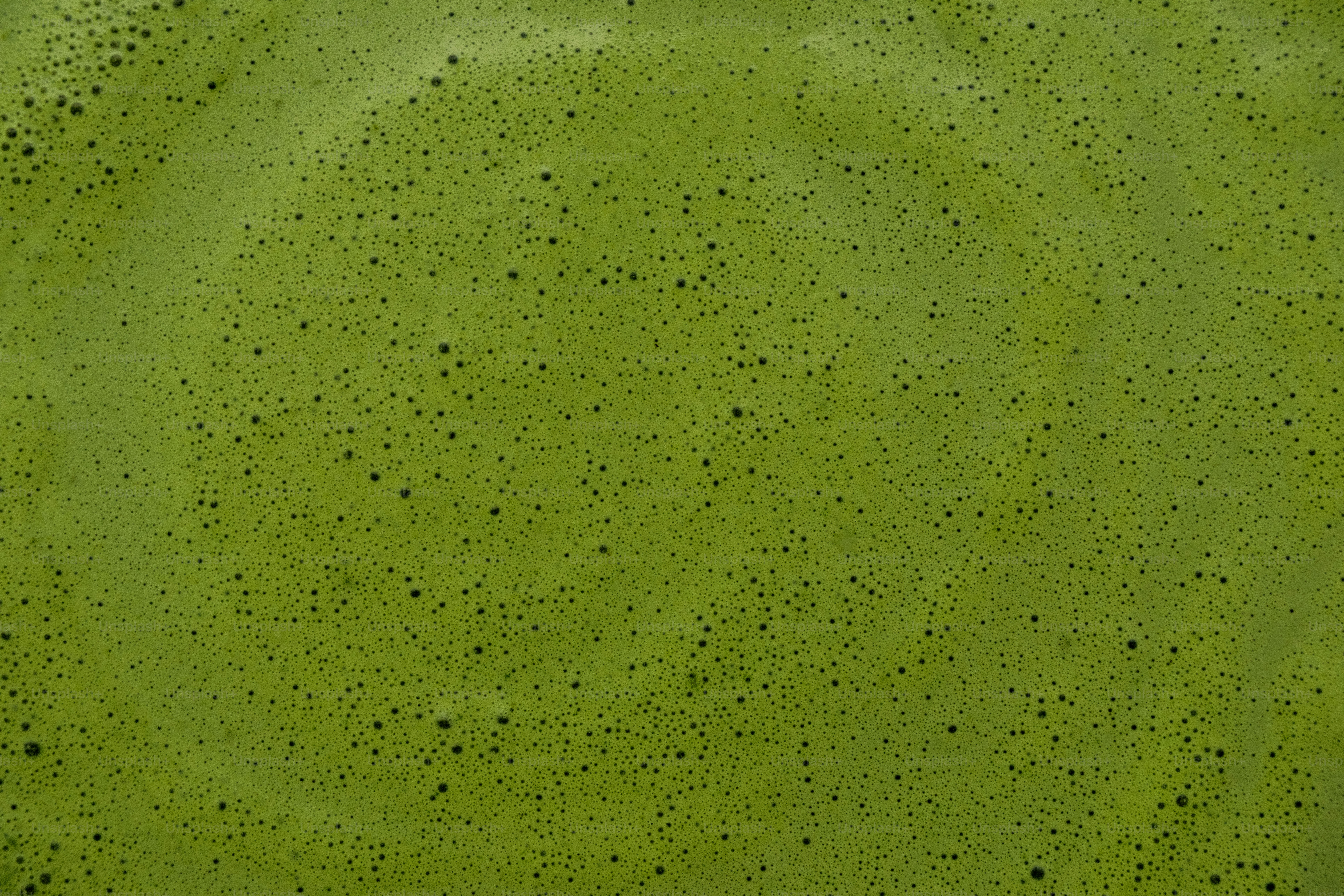 A close-up of a green textured surface with dark spots.