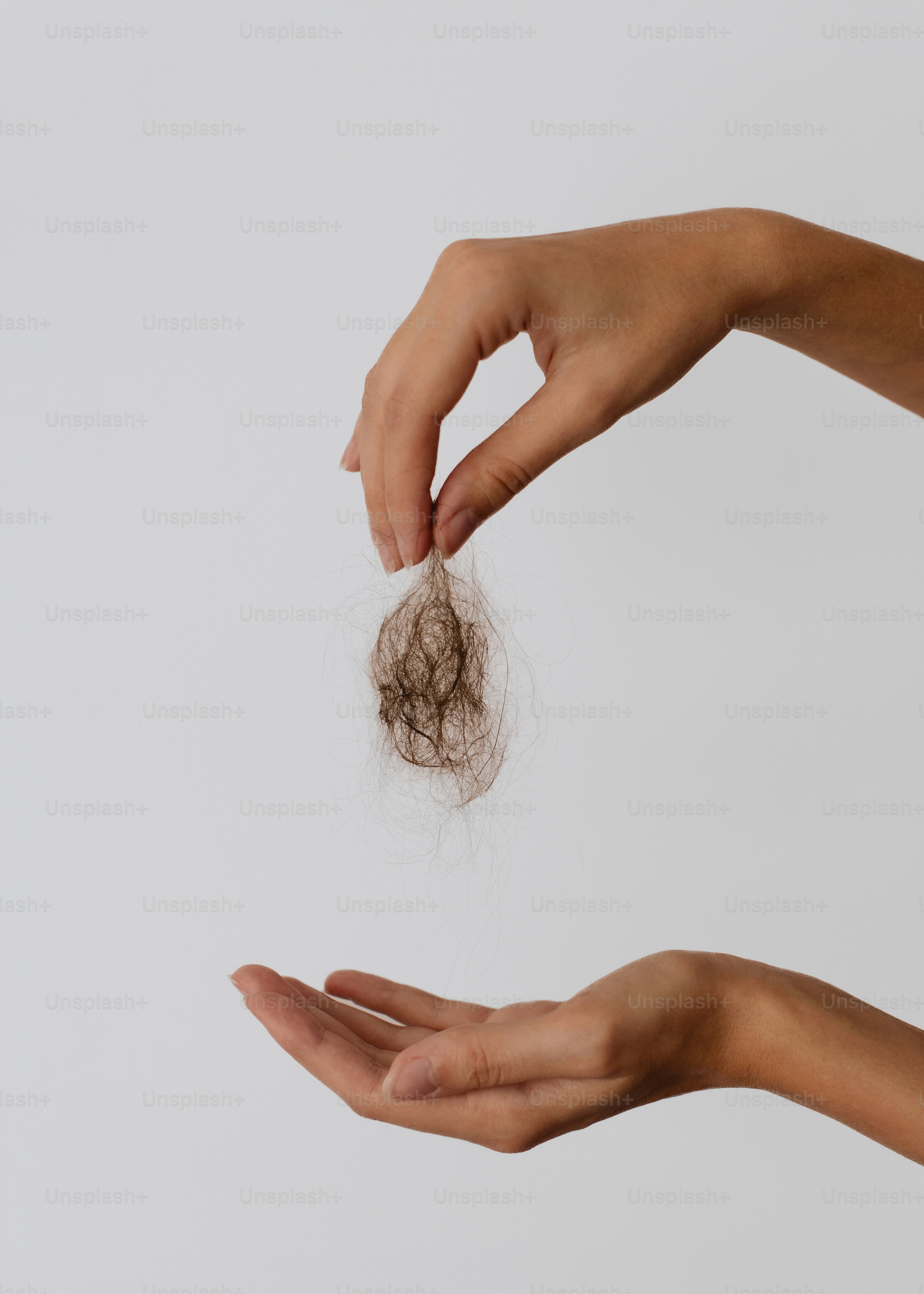 Hands holding a clump of fallen hair