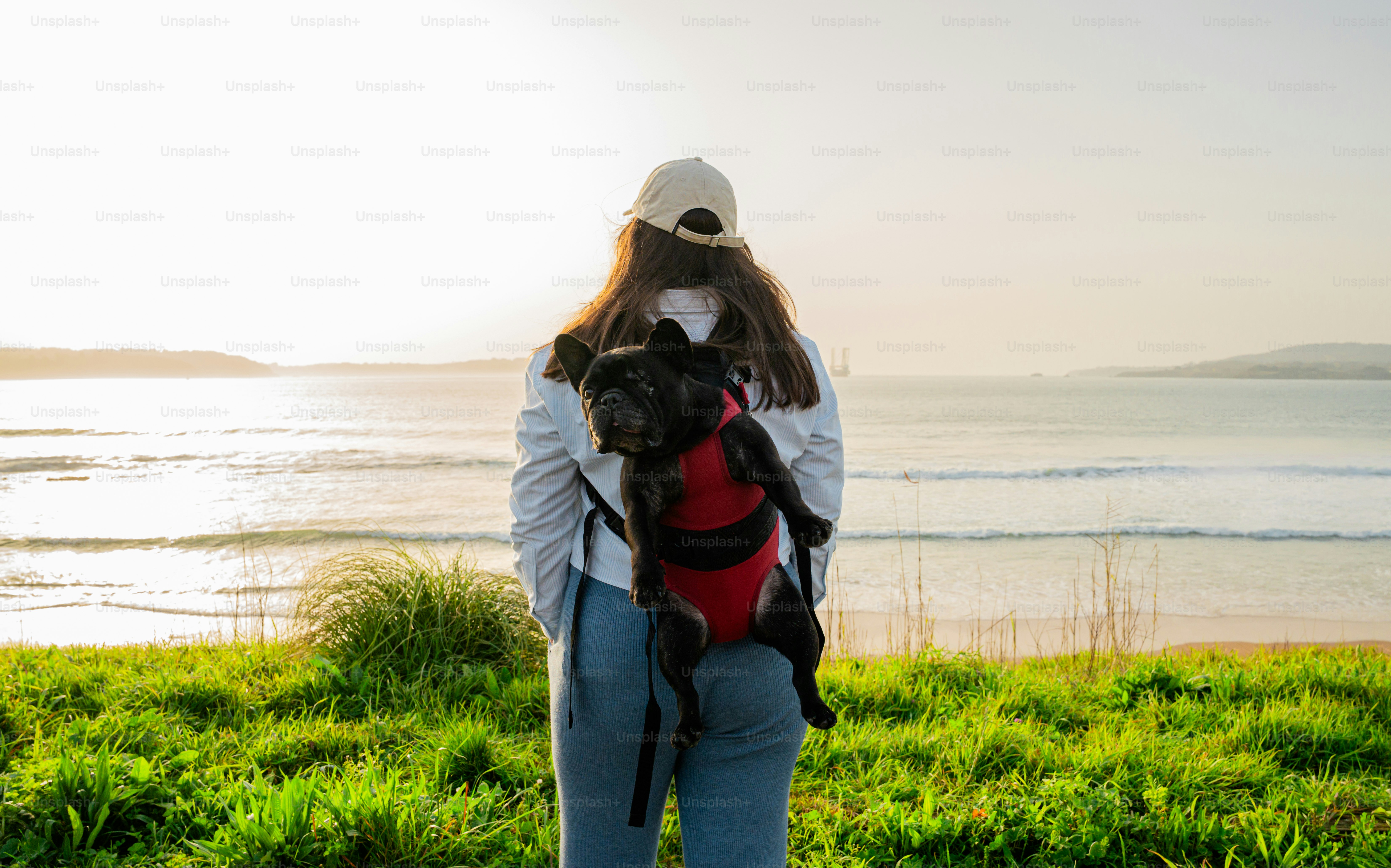 Woman with dog in backpack by the ocean