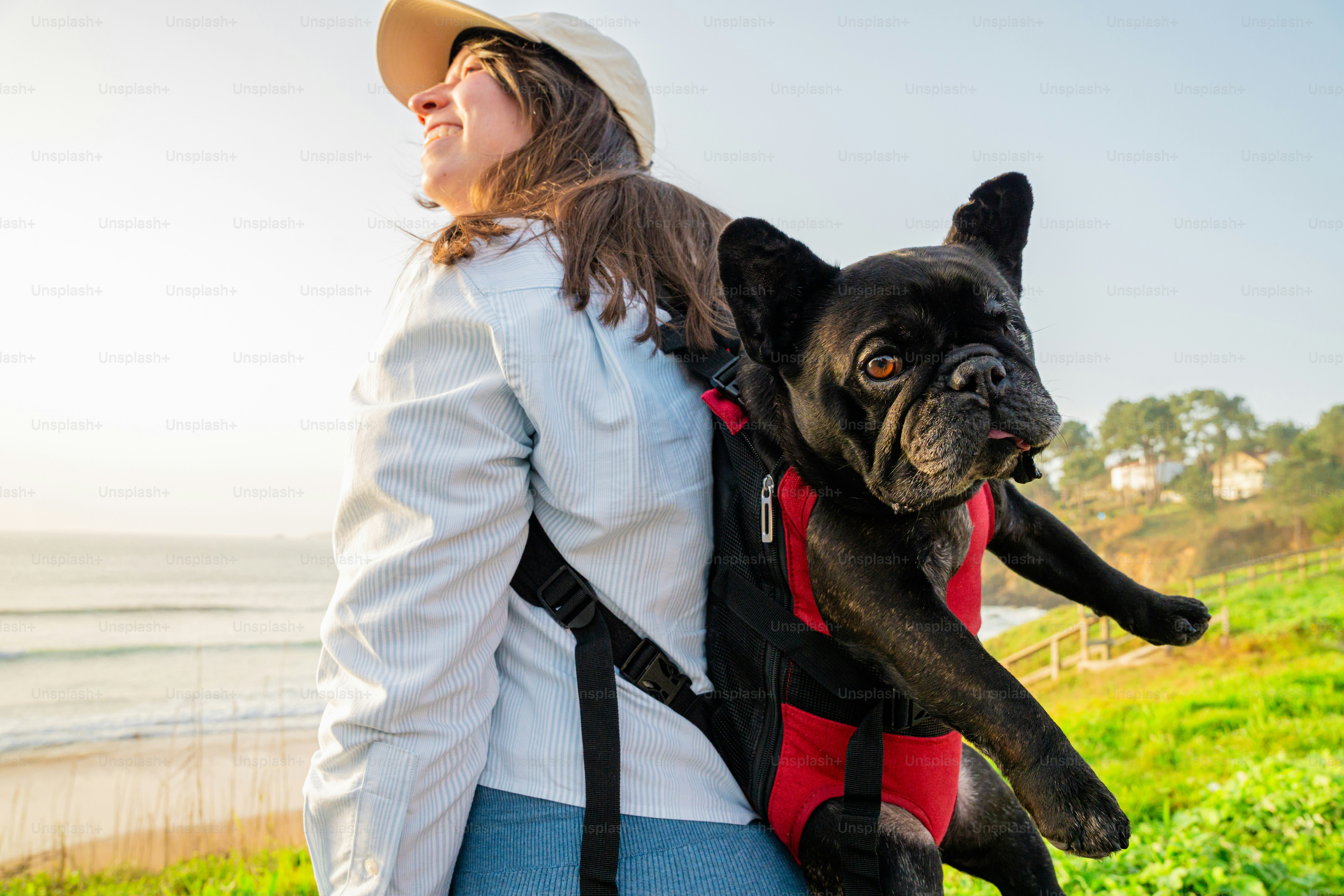 Woman carries french bulldog in a backpack by the ocean