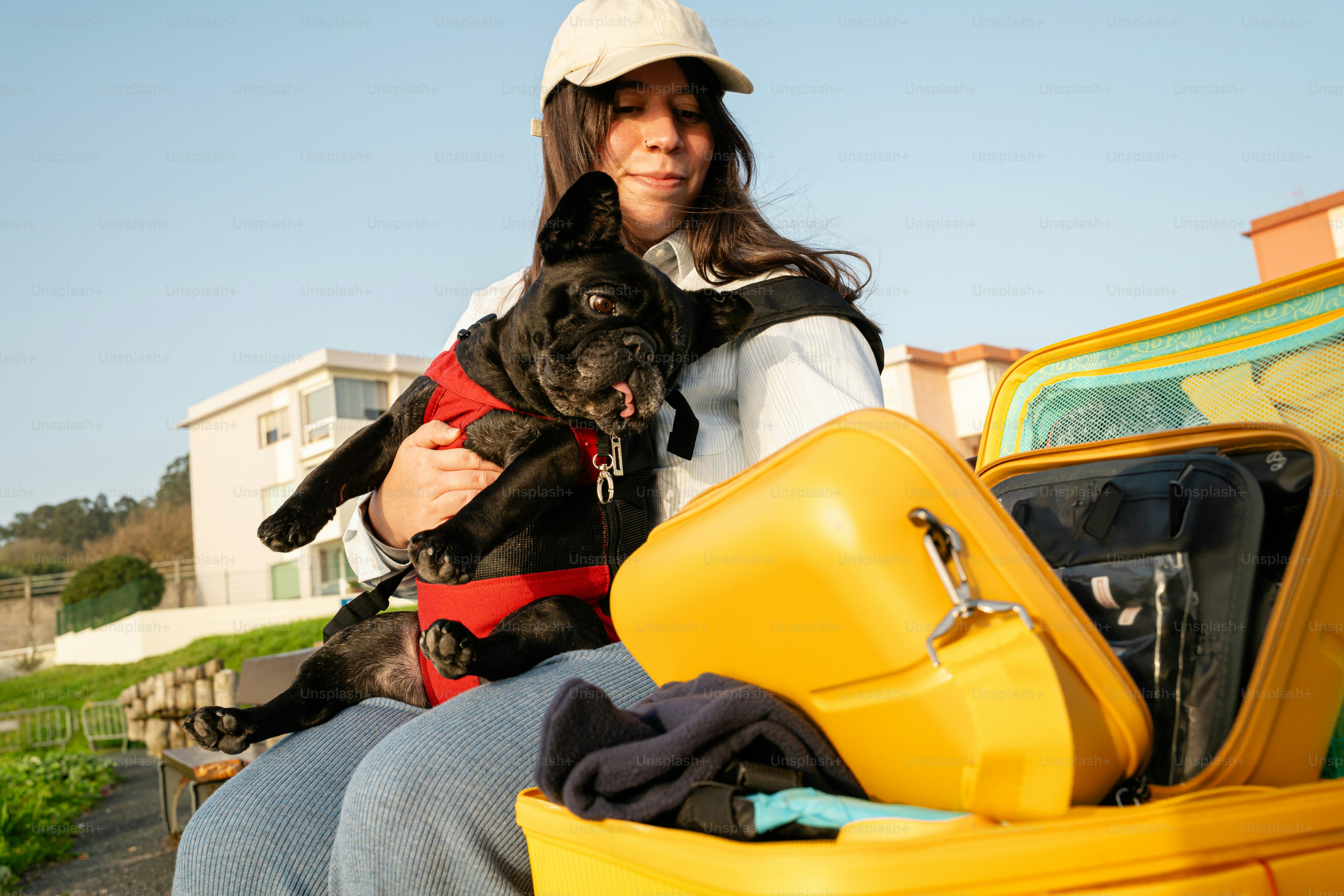 Woman holding a black french bulldog with luggage