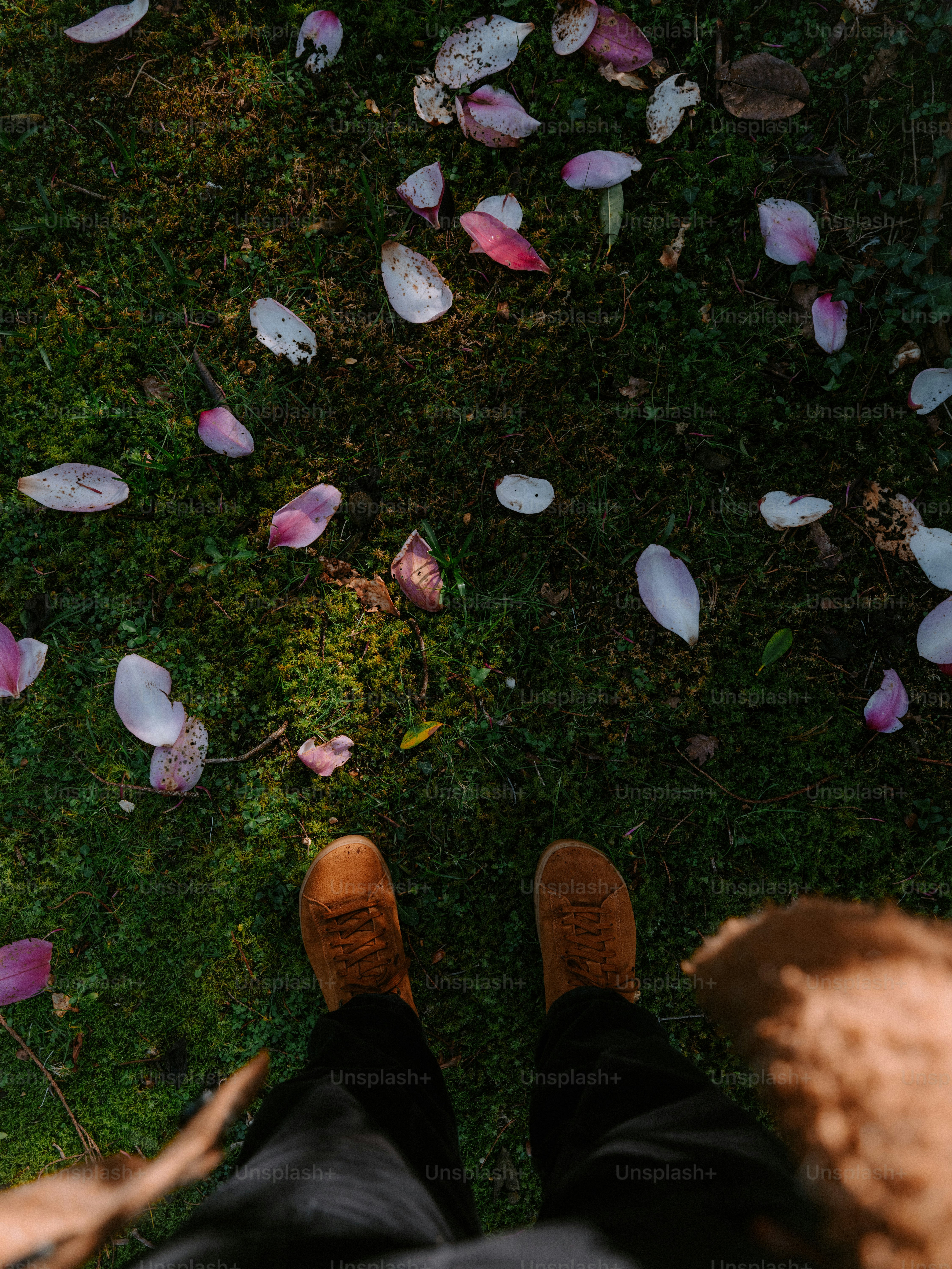 Brown shoes on grass with fallen petals