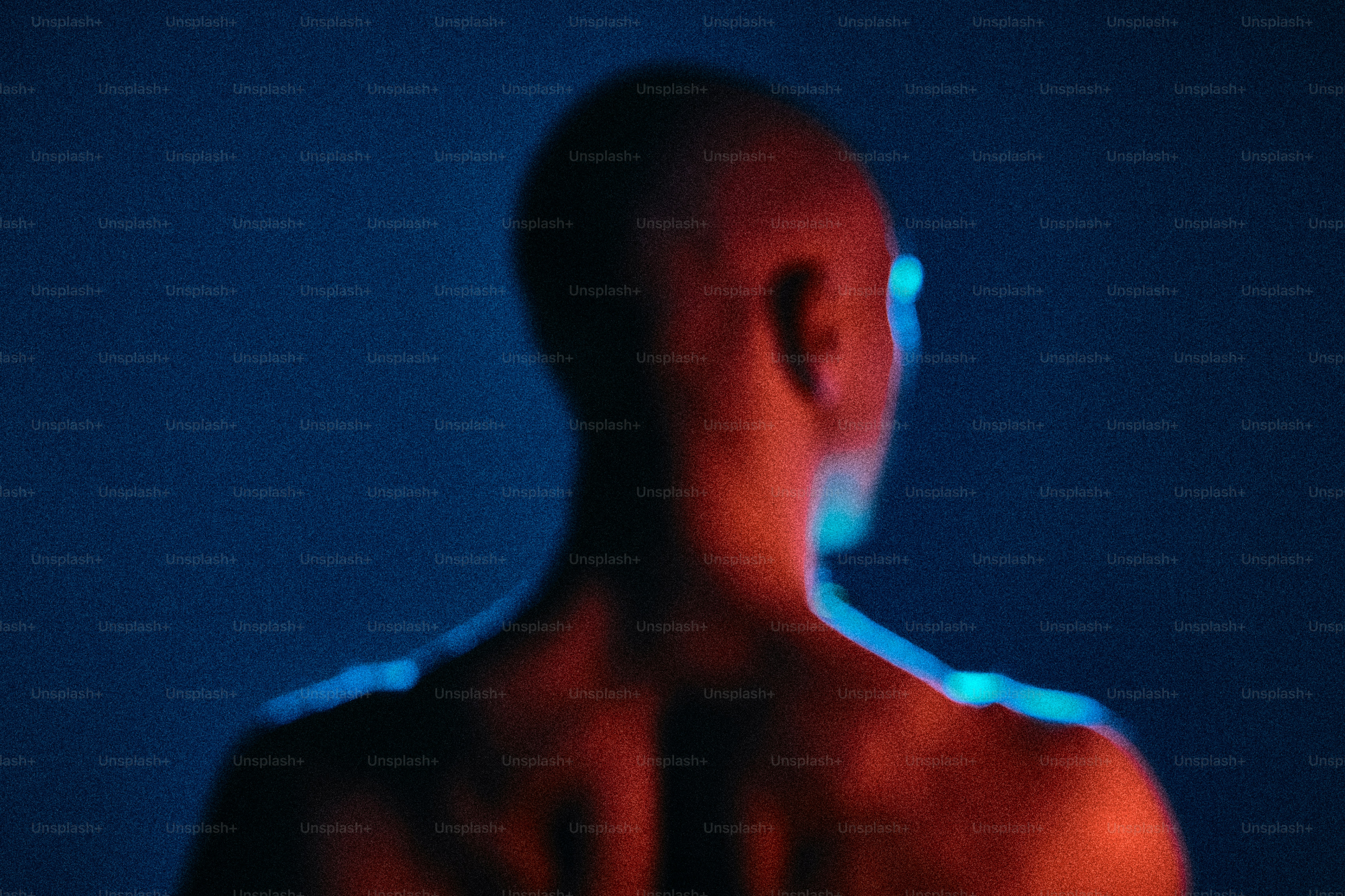 Man's back illuminated by red and blue light photo – Portrait Image on ...