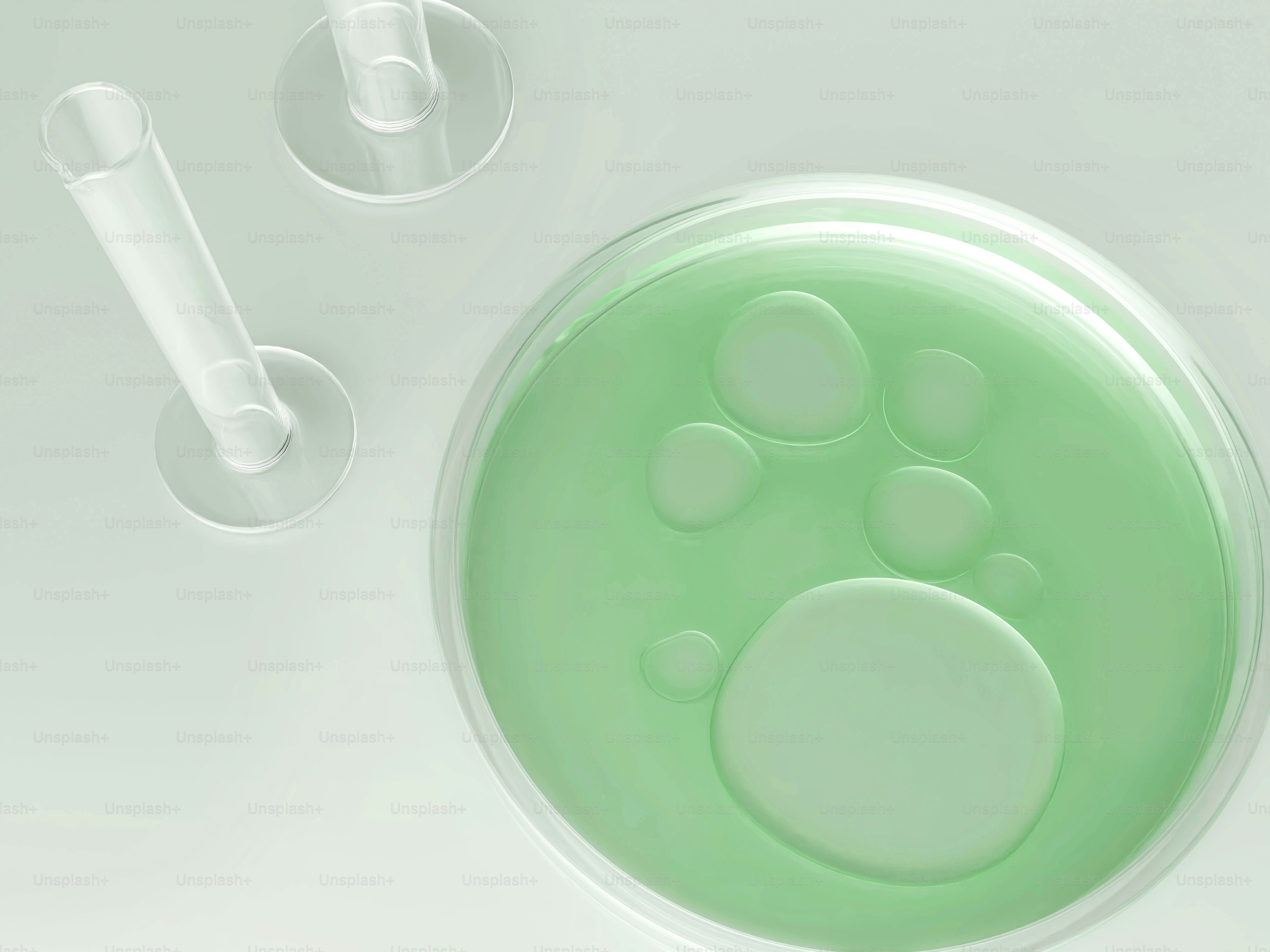 Green liquid in petri dish with test tubes