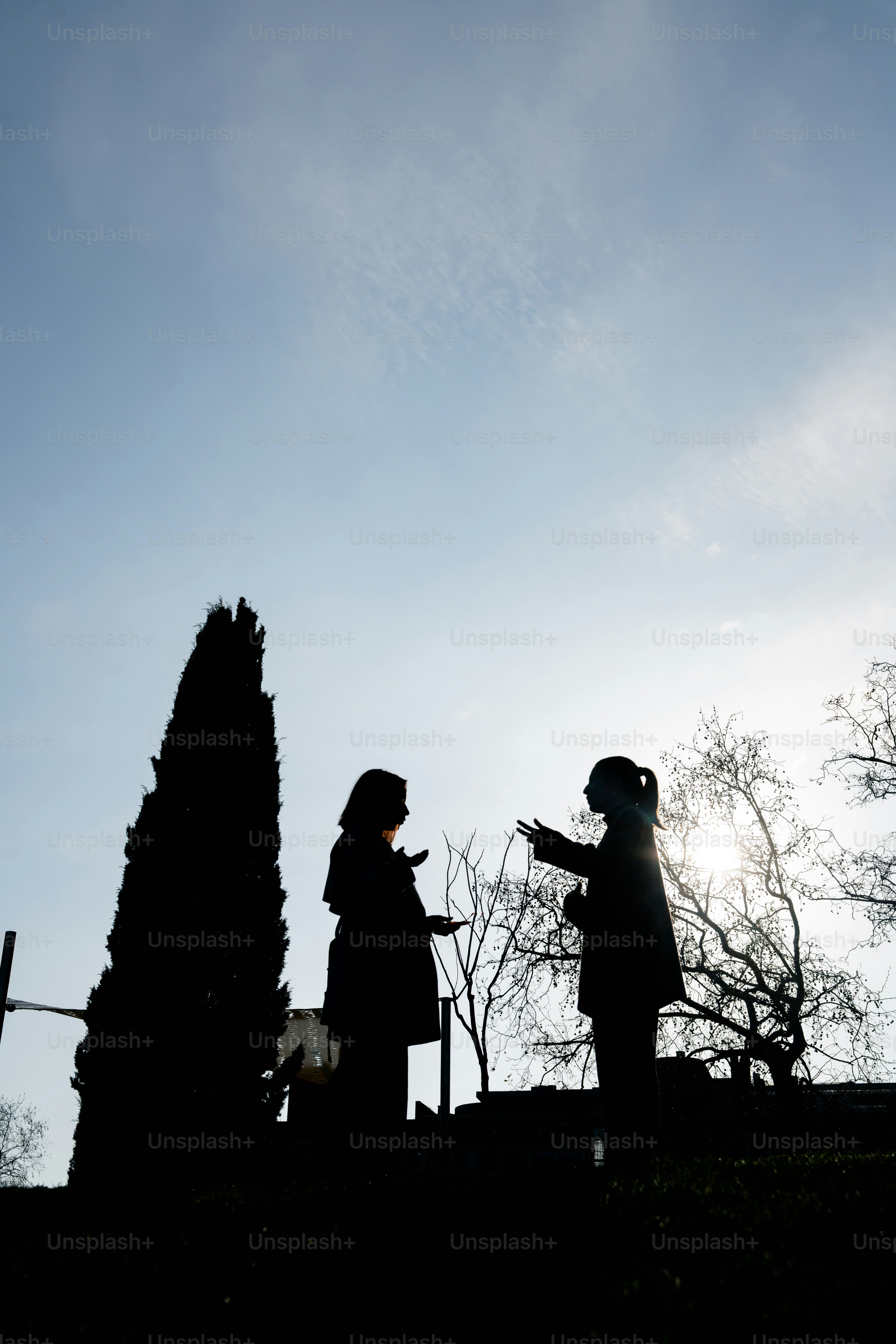 밝은 하늘을 배경으로 실루엣으로 드리운 두 사람의 실루엣