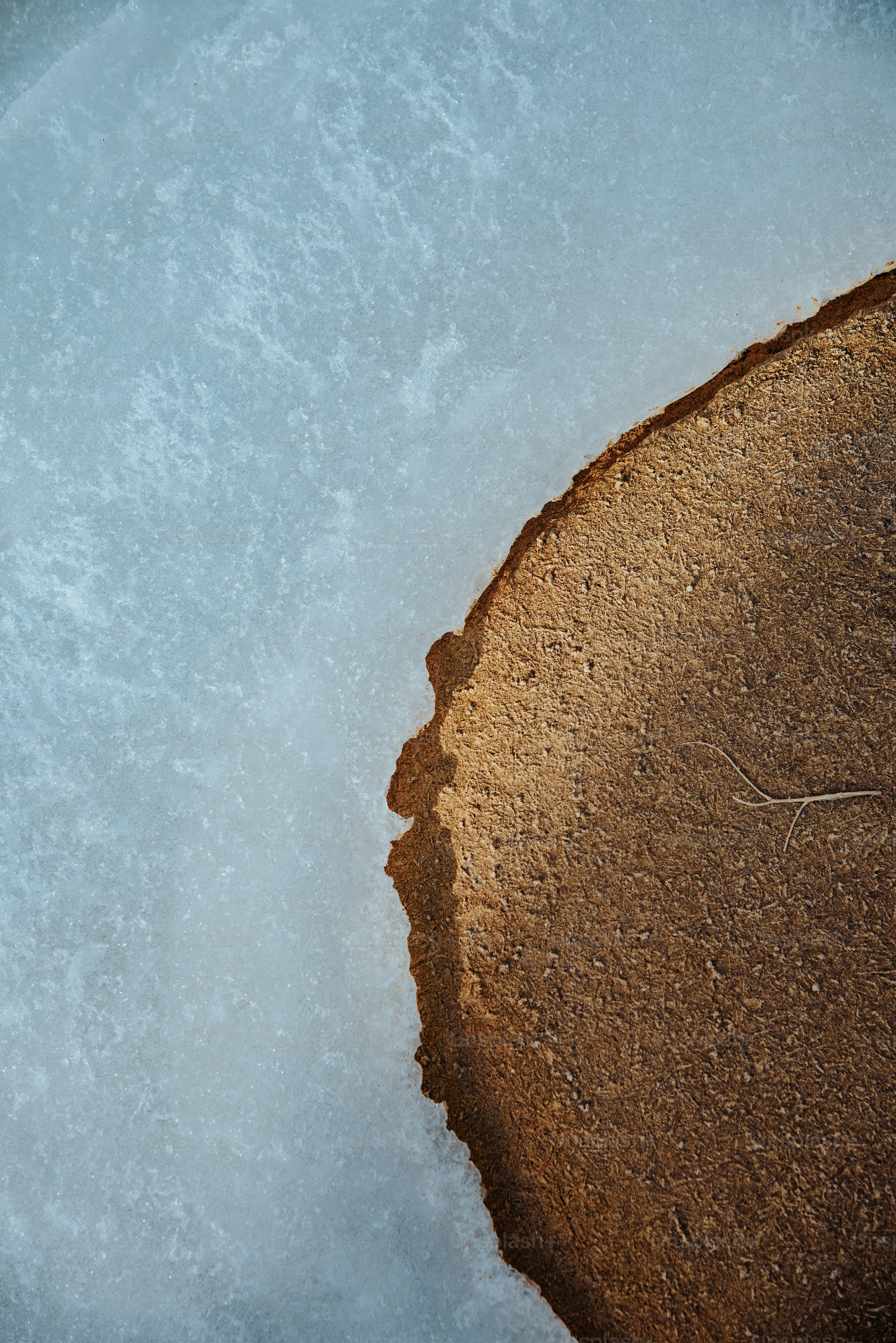 Close-up of a tree stump with ice formations.