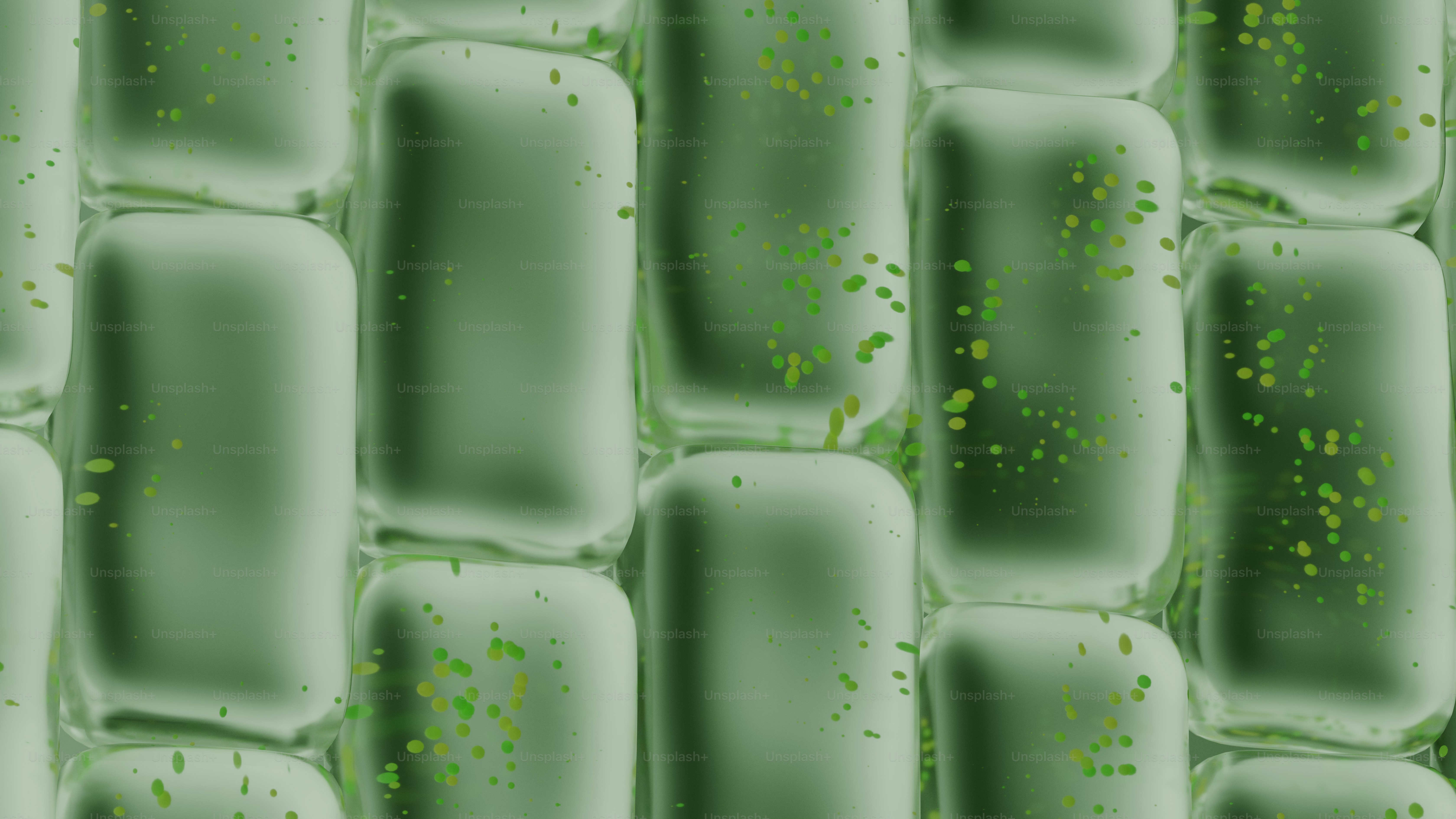 Vista microscópica de células verdes de plantas con cloroplastos