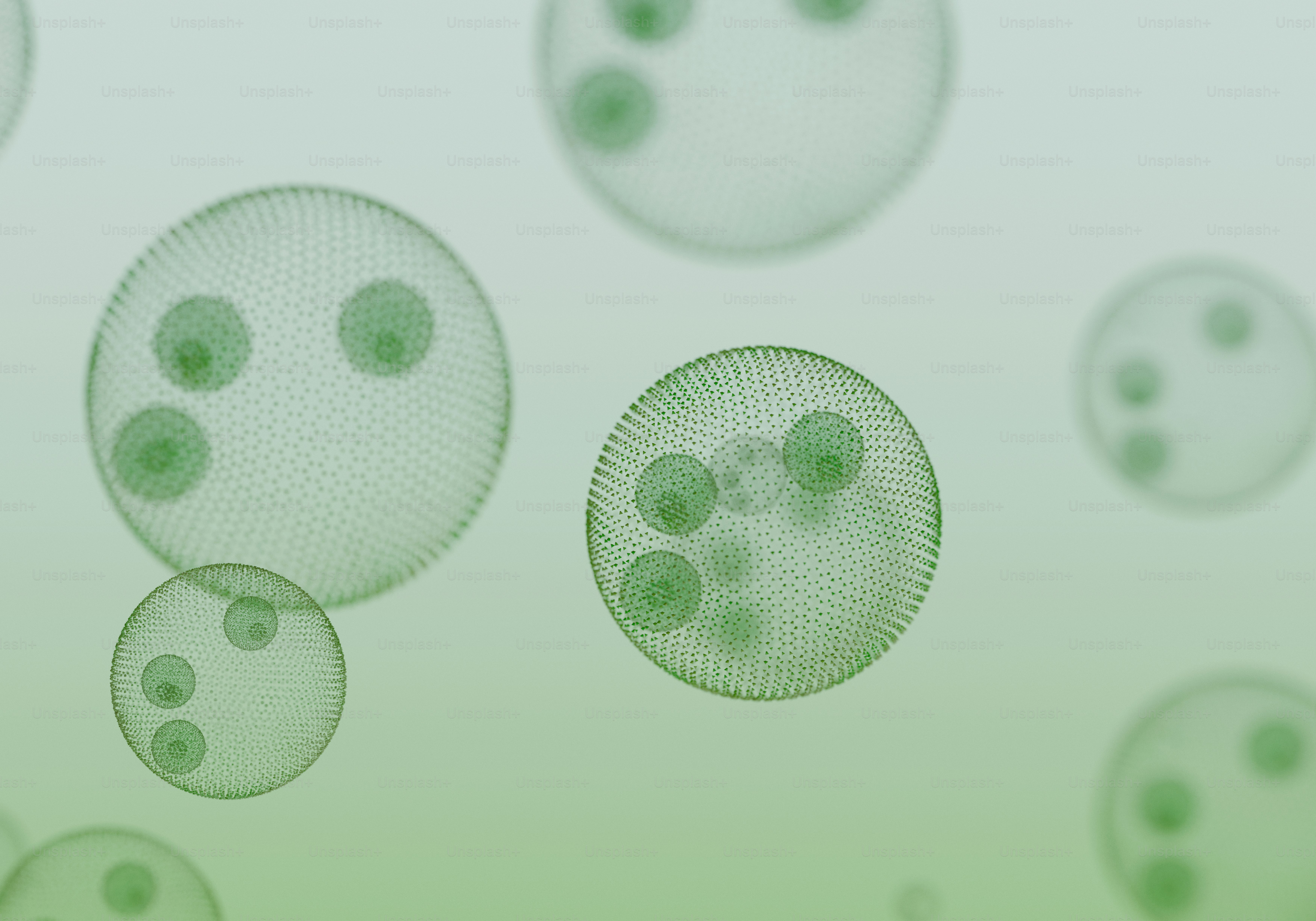 투명한 구체 안에 있는 녹색 세포의 현미경 모습.