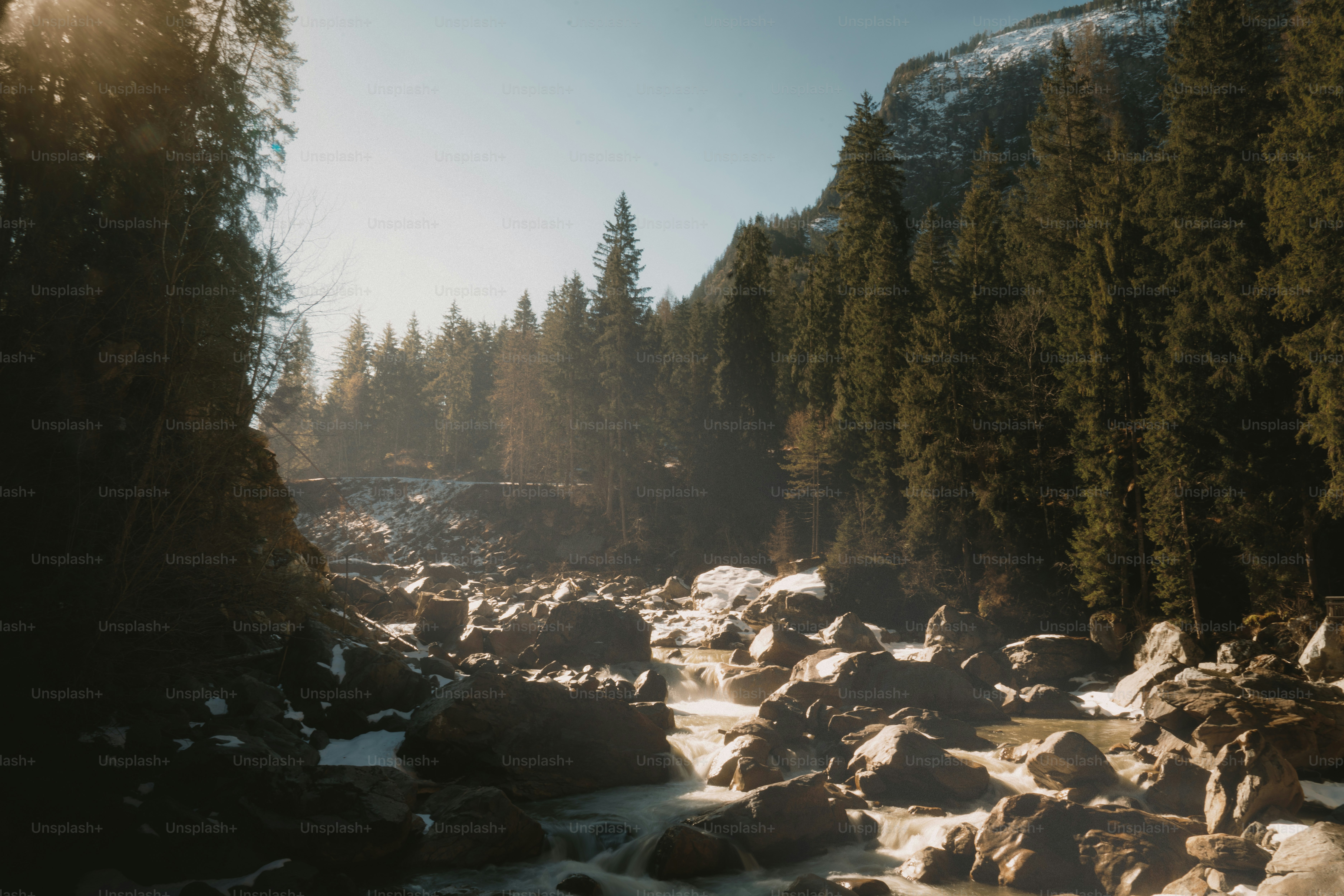 Un fiume roccioso attraversa una foresta sempreverde illuminata dal sole.