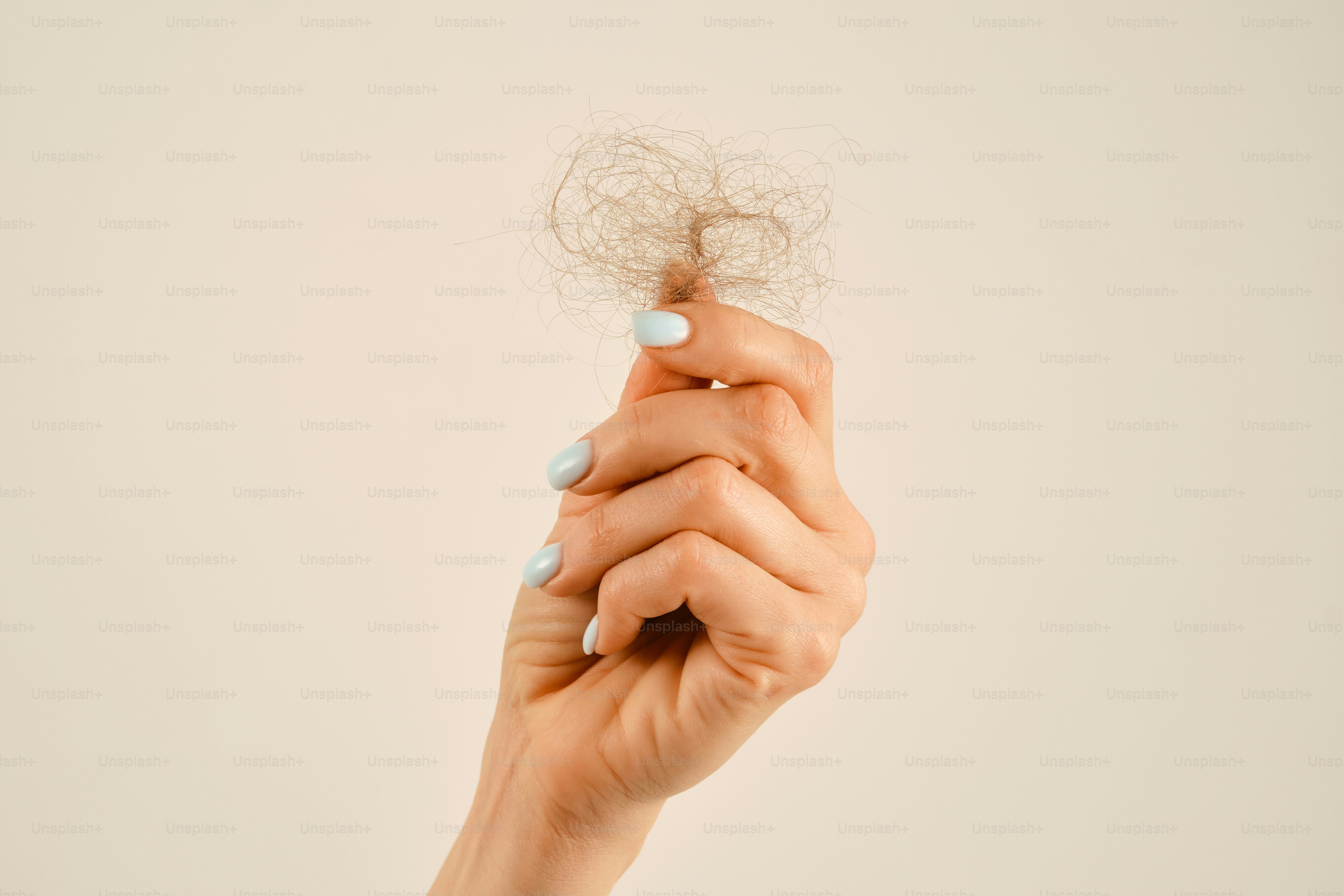 Hand holding a clump of shed hair photo – Hand Image on Unsplash