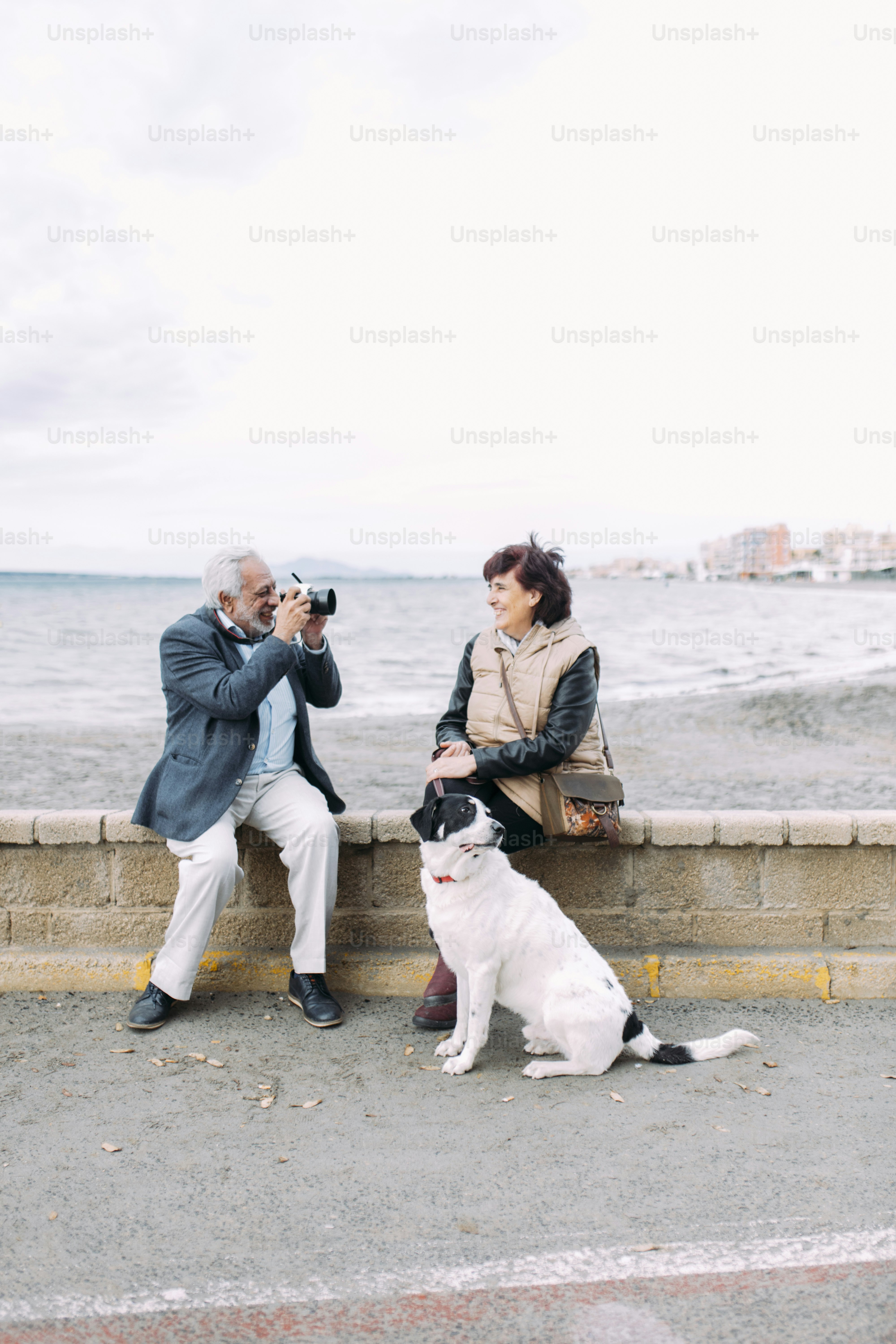Casal idoso com cachorro à beira-mar