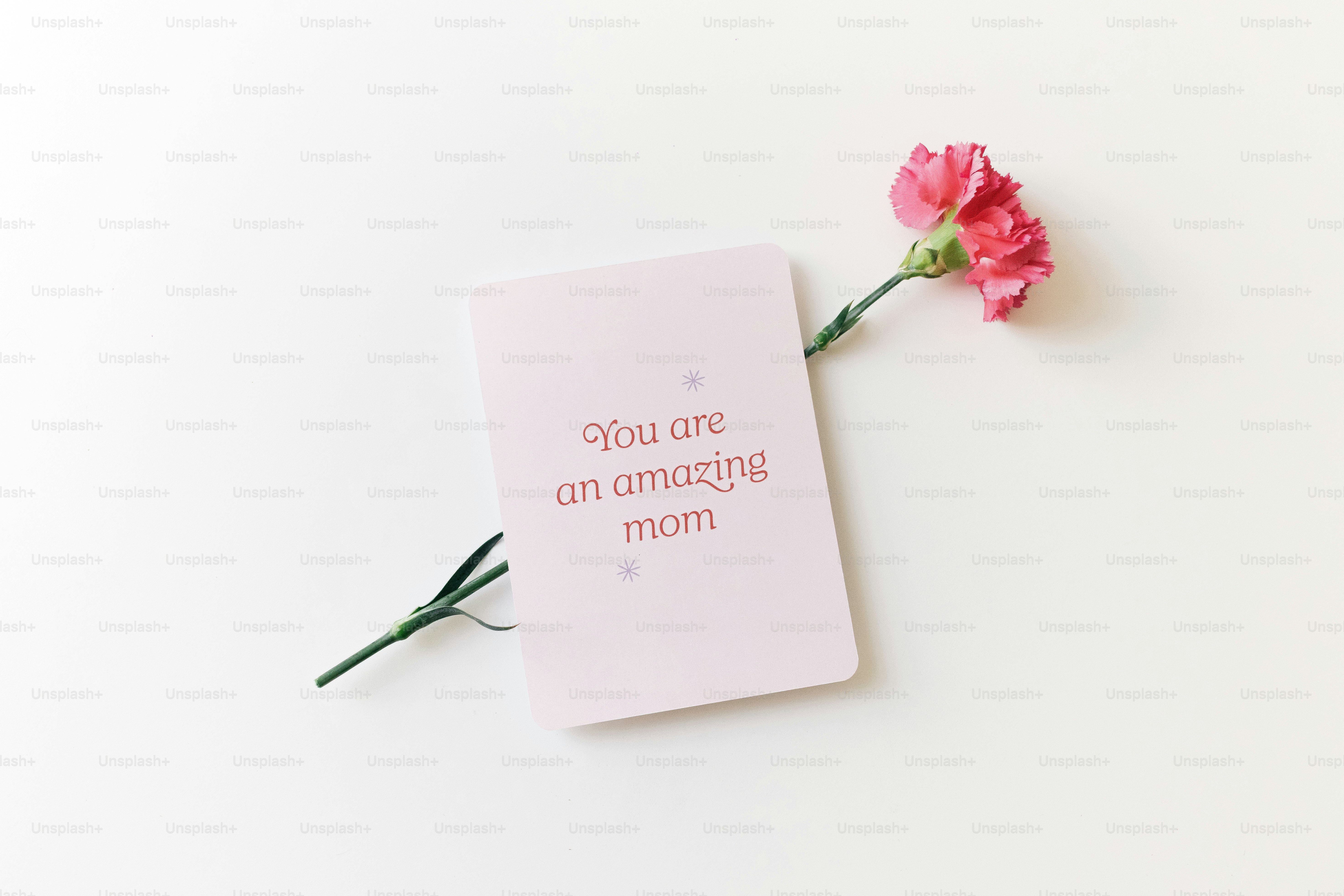 Tarjeta rosa con texto y un clavel rosa.