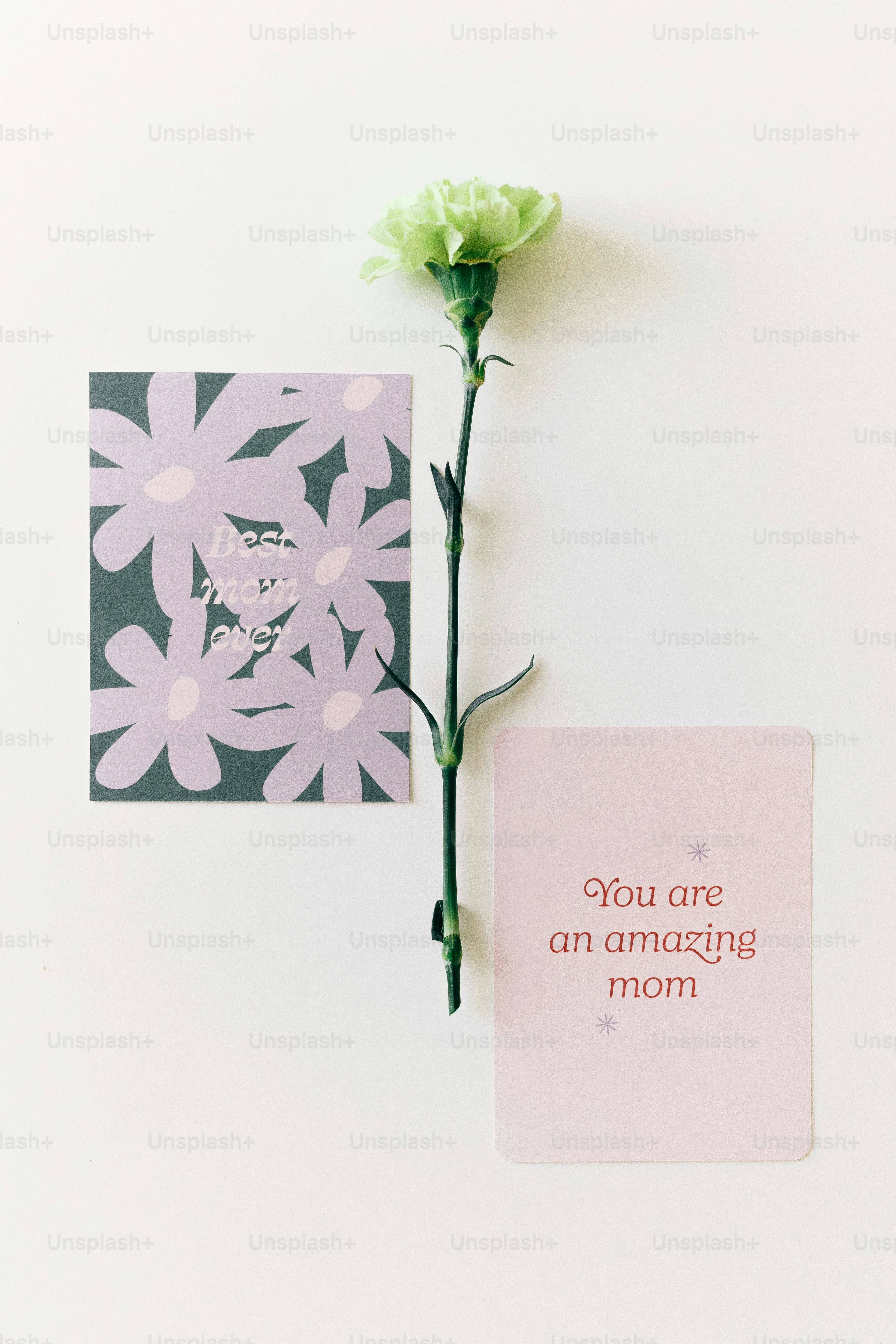 Un solo clavel verde con dos tarjetas de felicitación.
