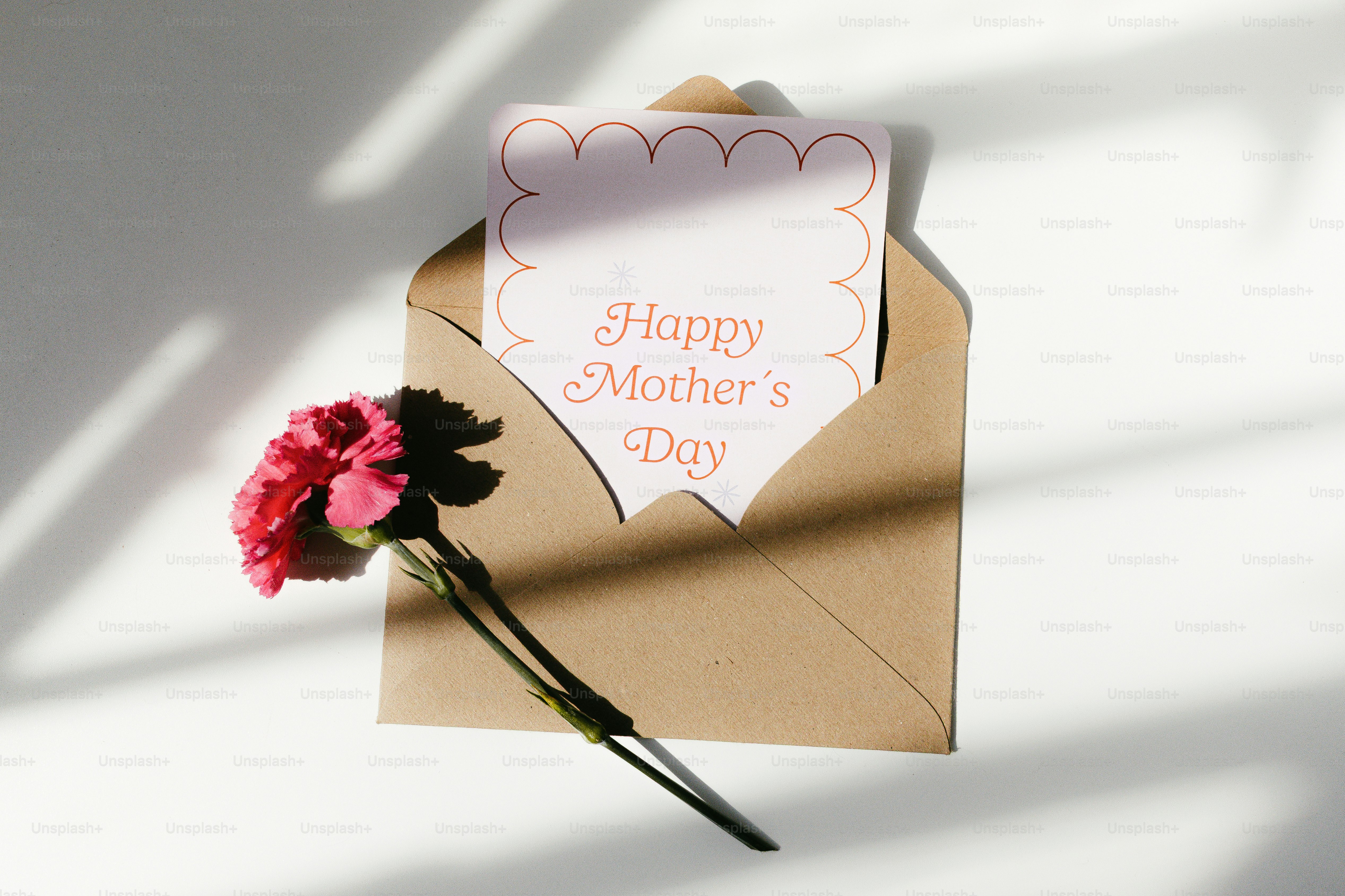 A pink carnation next to a 