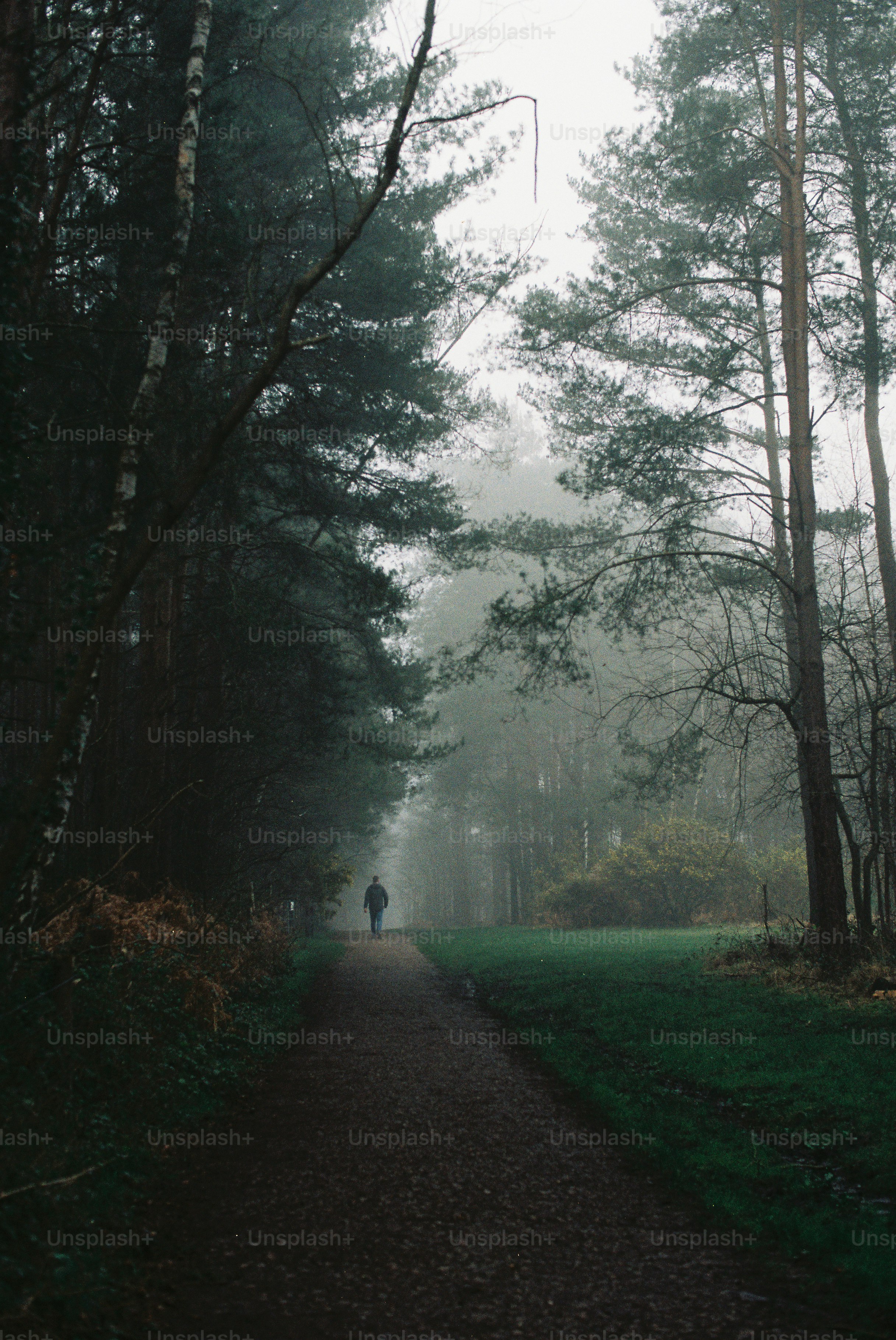 Una figura solitaria cammina lungo un sentiero nebbioso nella foresta.