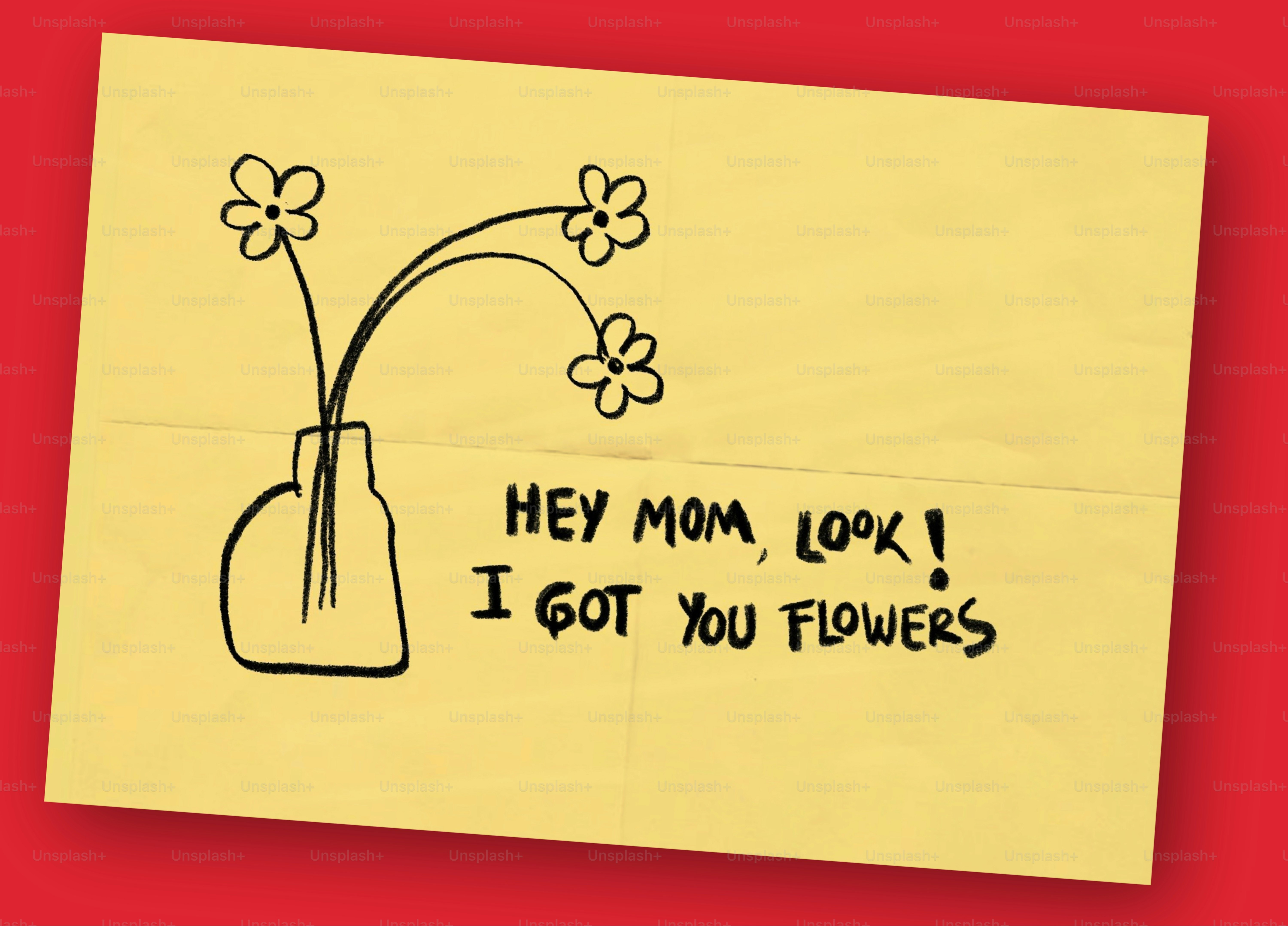 Photography close up of a red flower.