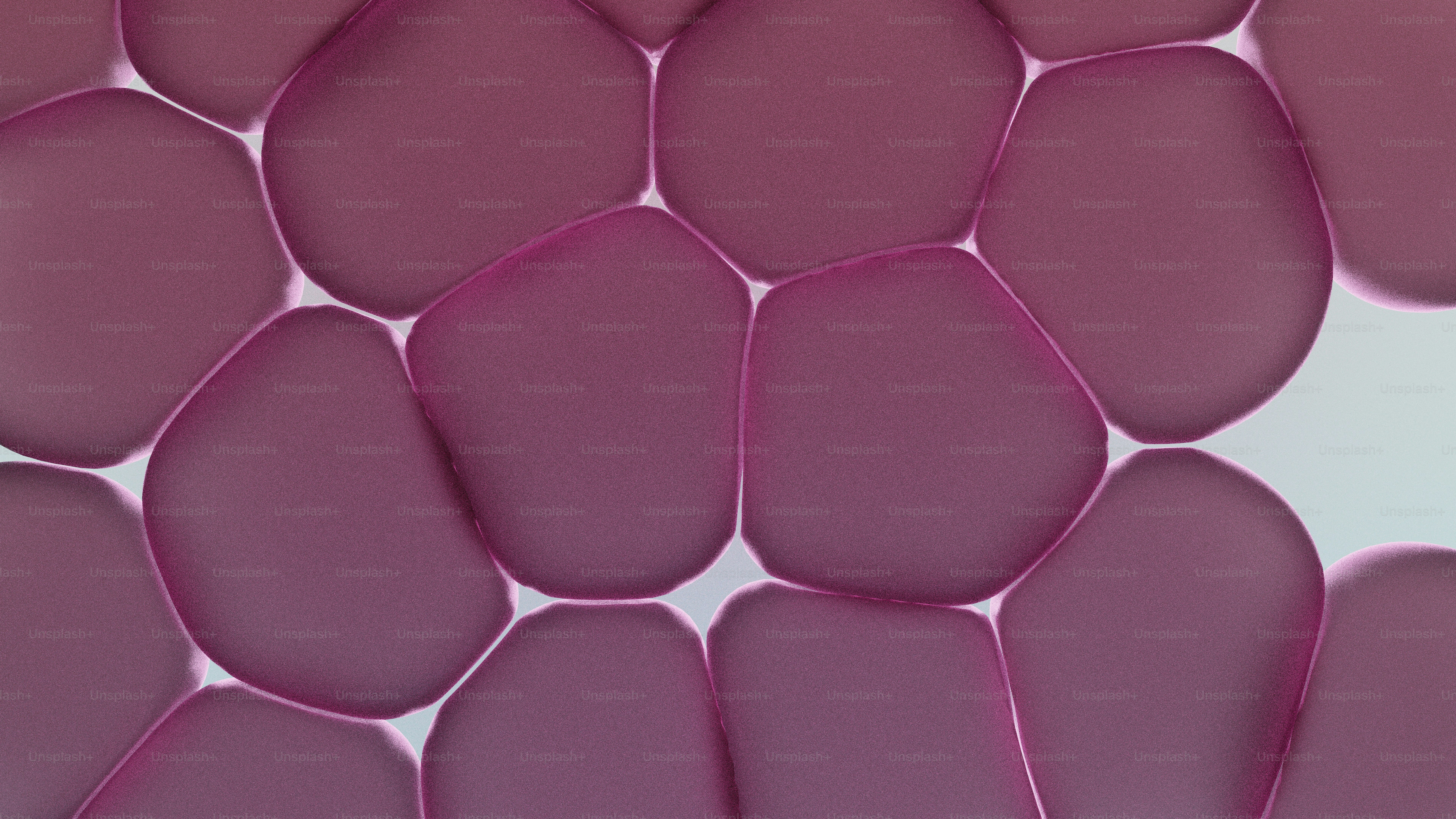 Vista microscópica de células rosadas con contornos oscuros.